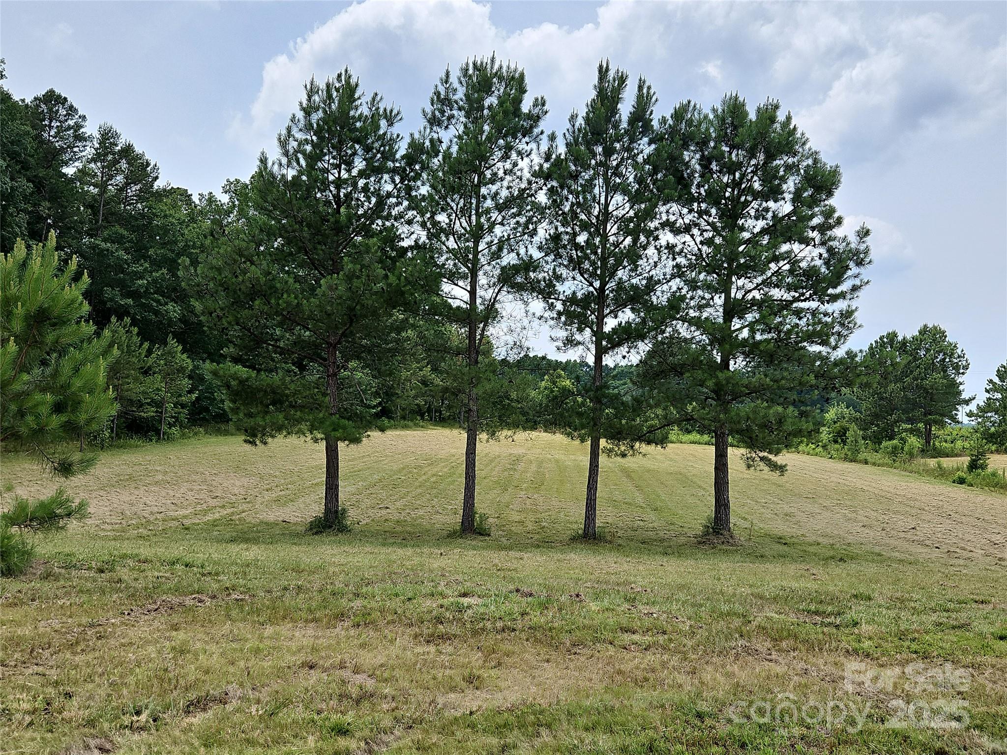 2905 Medlin Road 40 Acres Property Photo 35