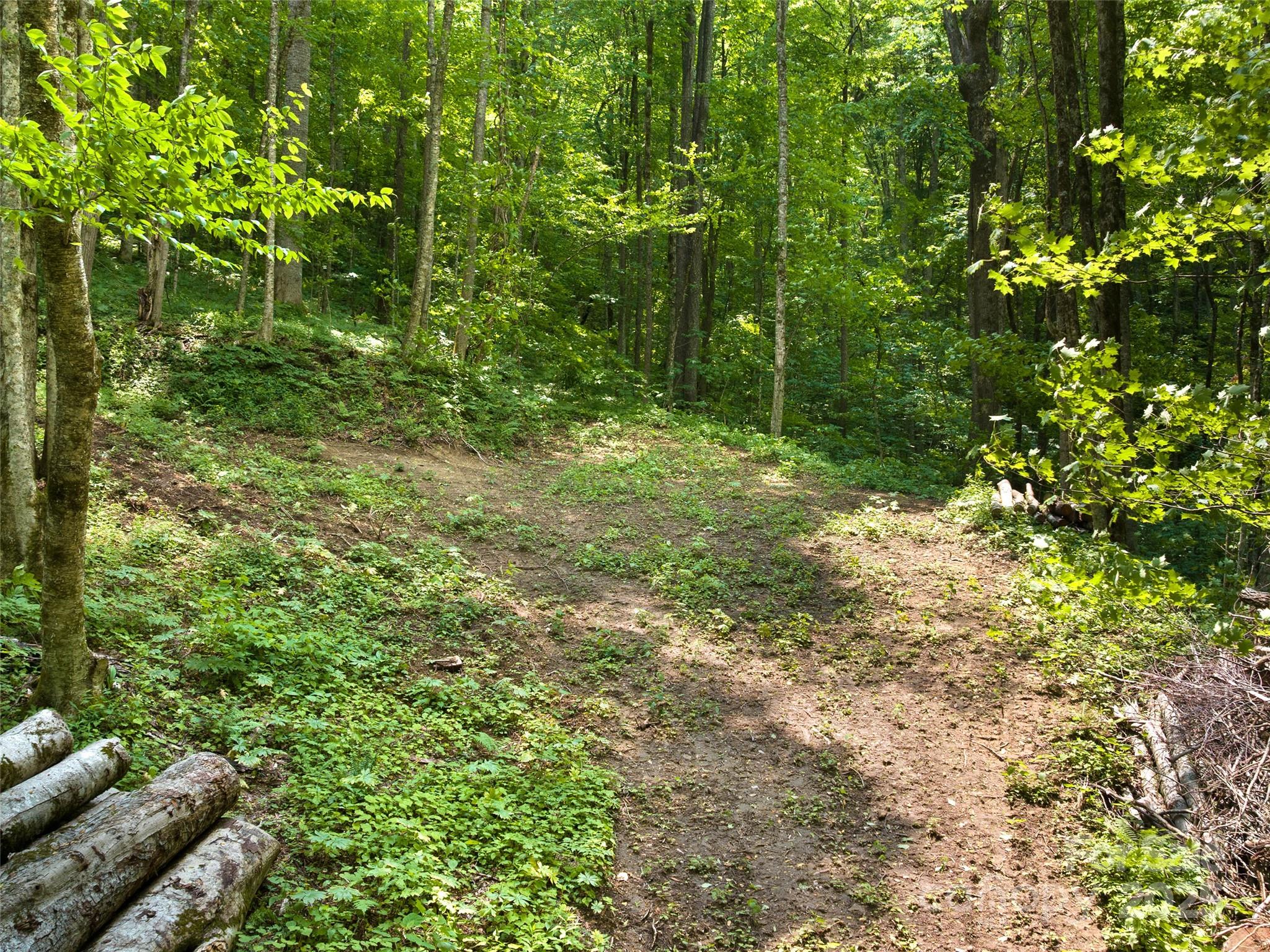 23 Forbidden Cove Property Photo 6
