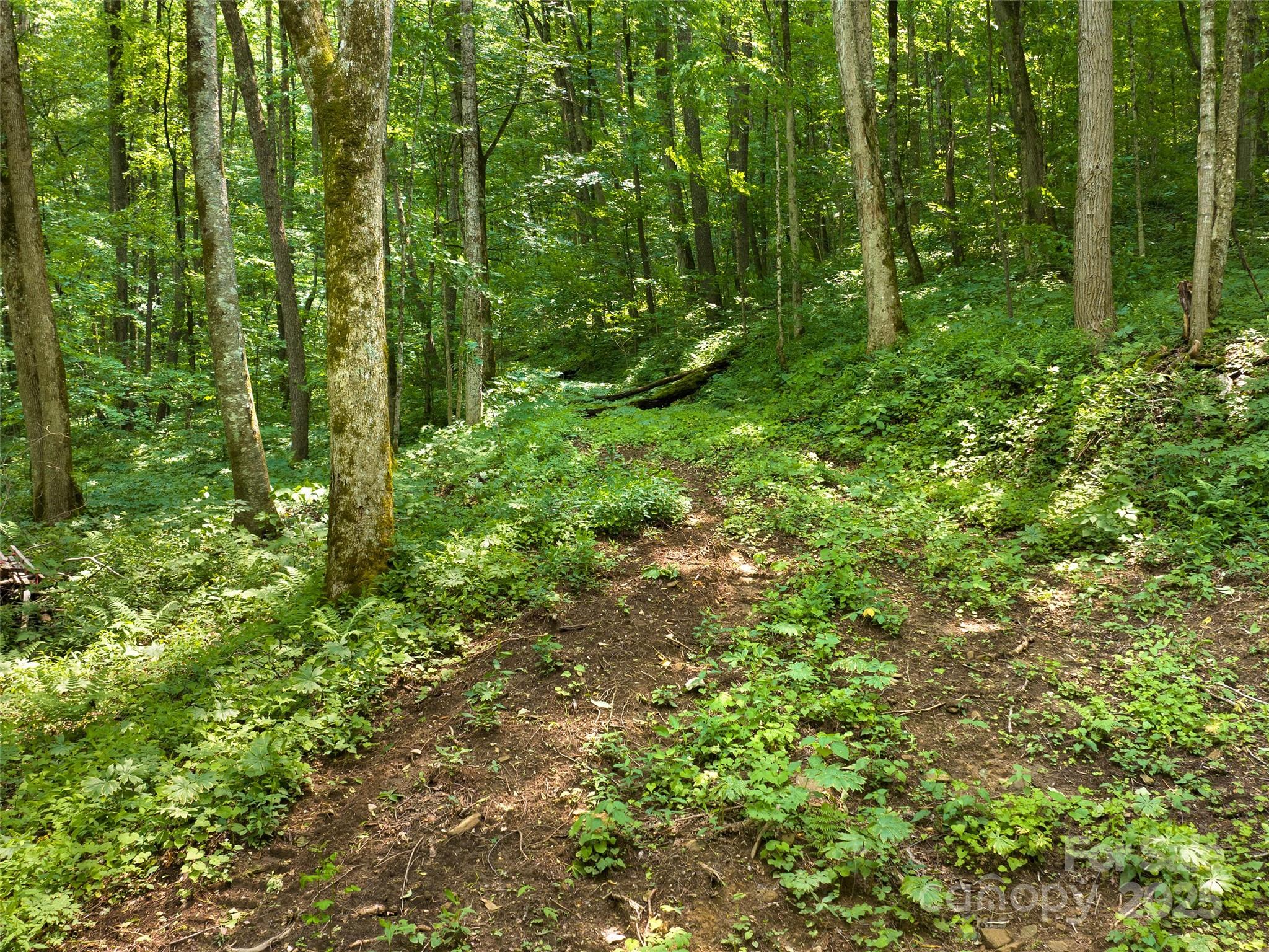 23 Forbidden Cove Property Photo 7