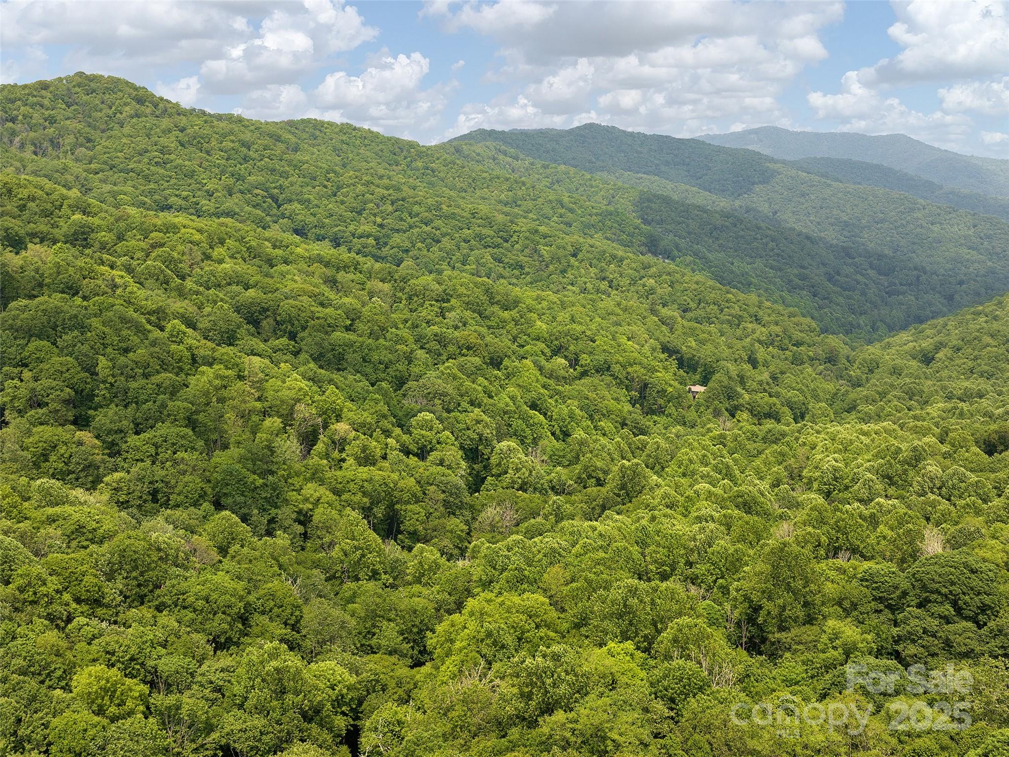 23 Forbidden Cove Property Photo 9