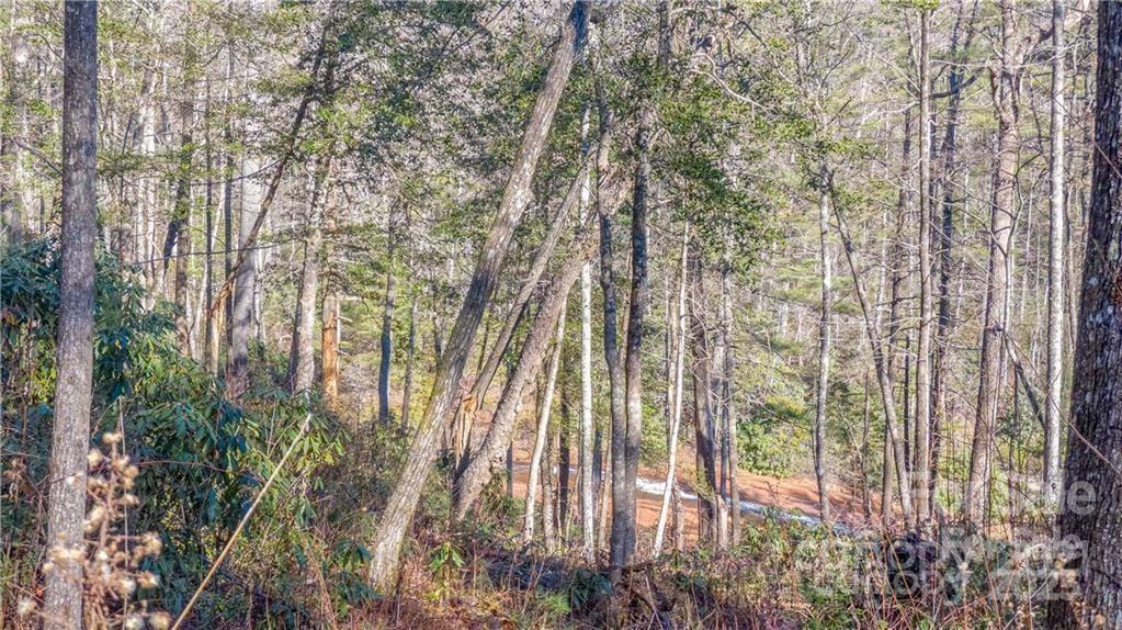 Tbd Toxaway Falls Drive Tr-a Property Photo 10