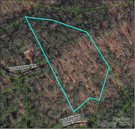 Tbd Blueberry Trail 14 Property Photo 2