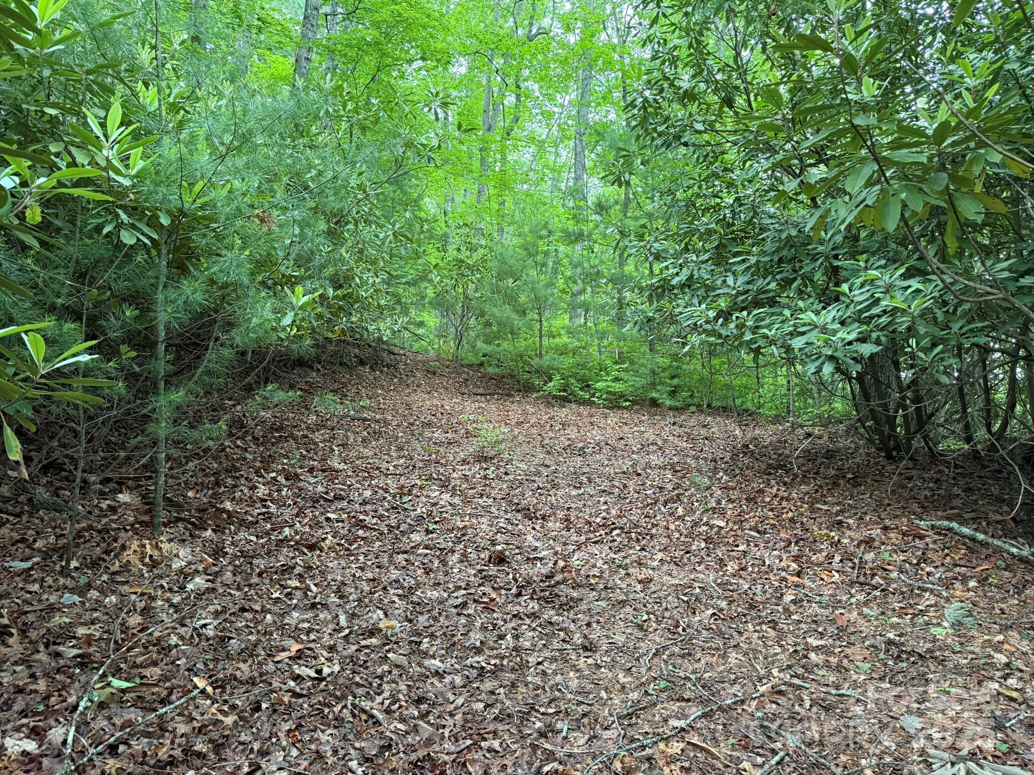 Tbd Blueberry Trail 14 Property Photo 3