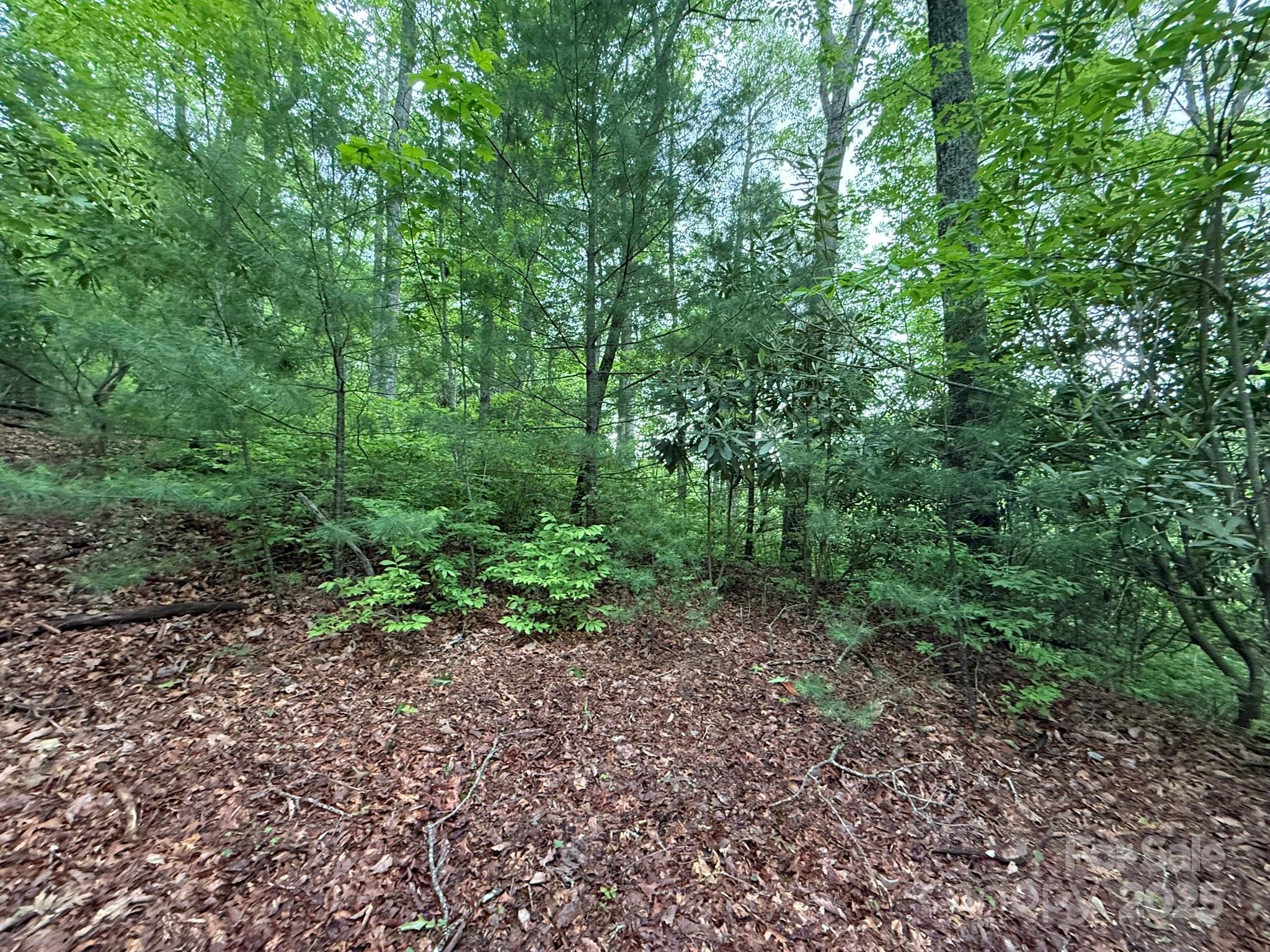 Tbd Blueberry Trail 14 Property Photo 4