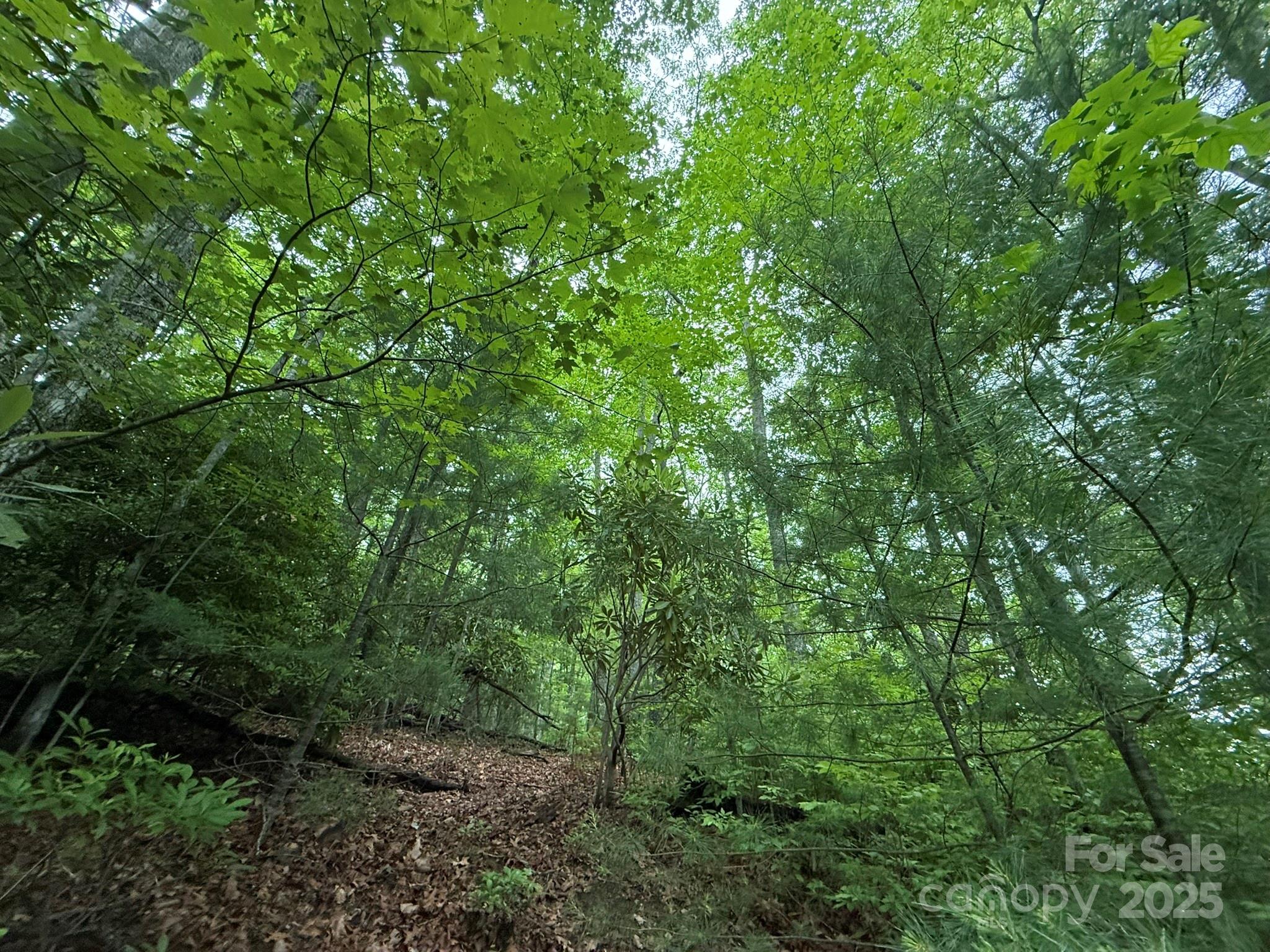 Tbd Blueberry Trail 14 Property Photo 6