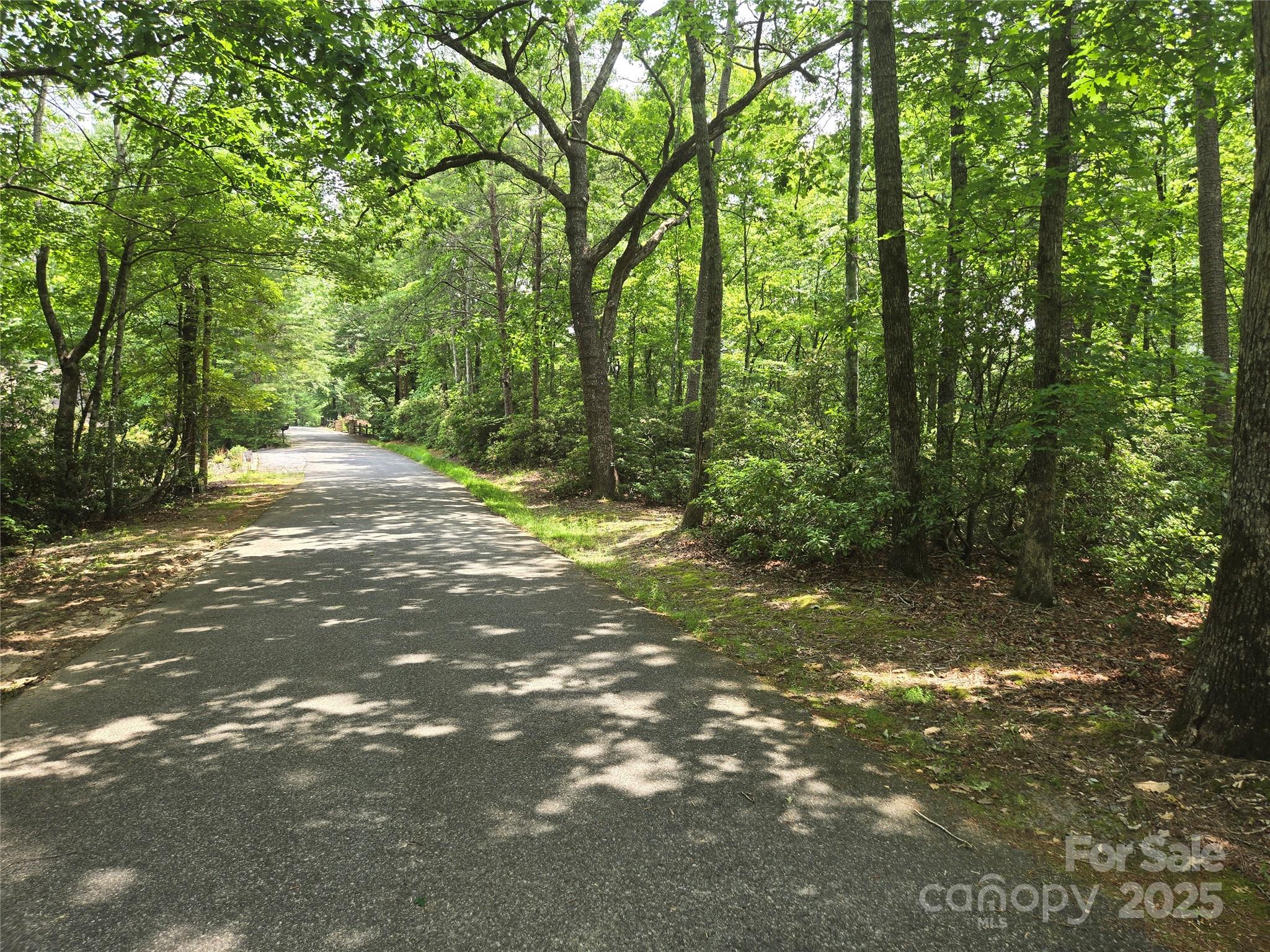 Lot 159 Sullivan Lane Property Photo 2