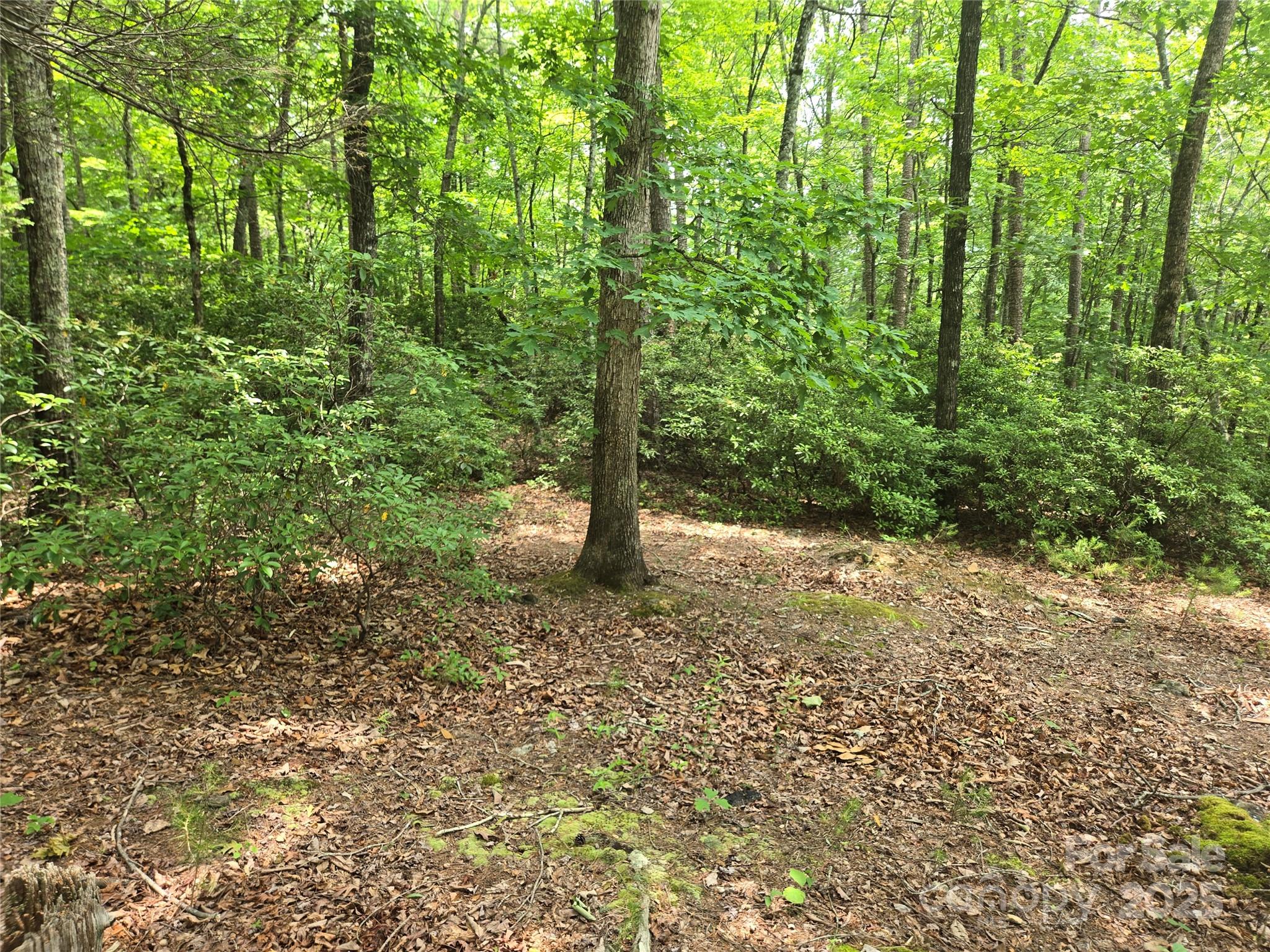 Lot 159 Sullivan Lane Property Photo 3