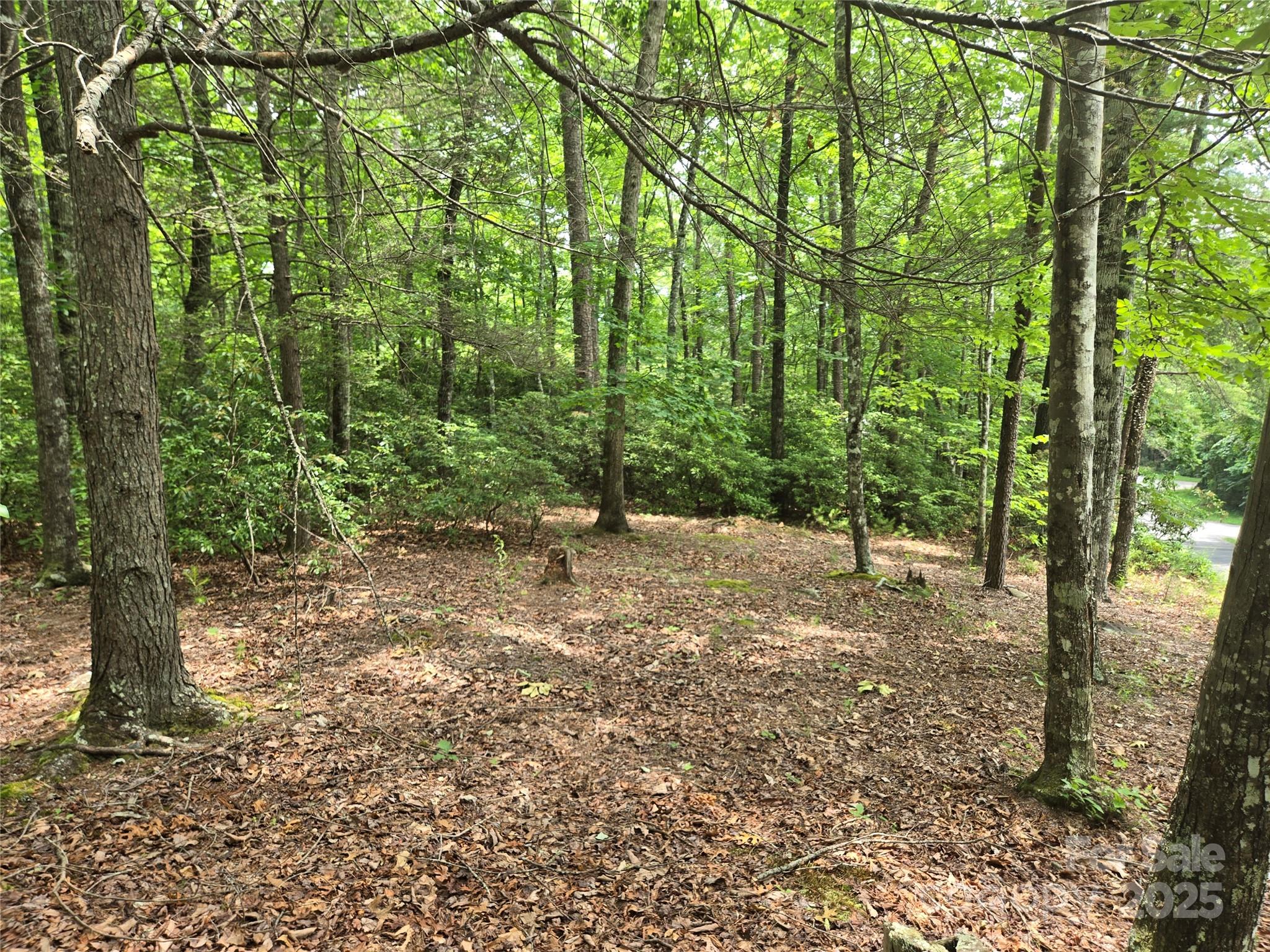 Lot 159 Sullivan Lane Property Photo 5