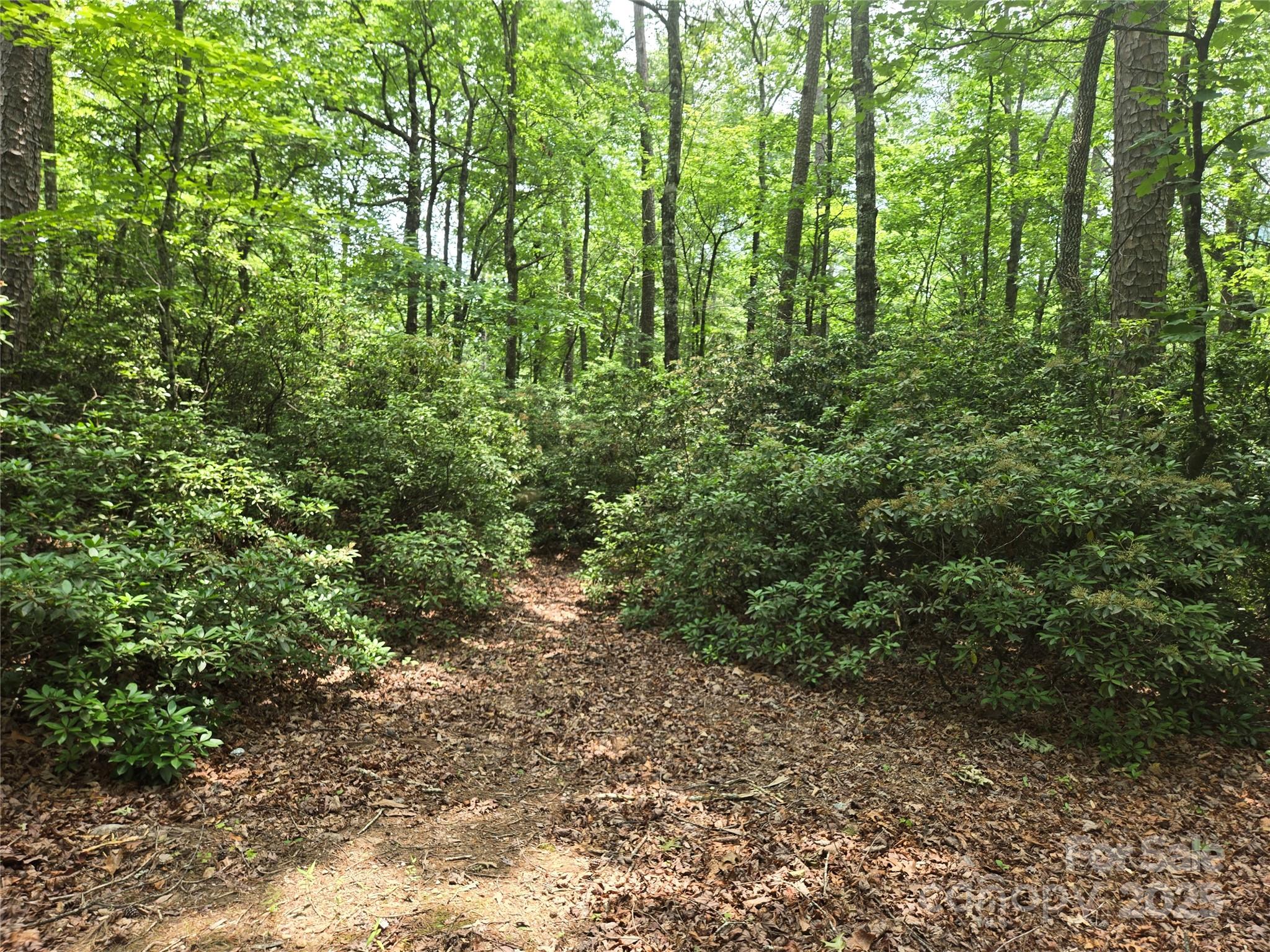 Lot 159 Sullivan Lane Property Photo 6