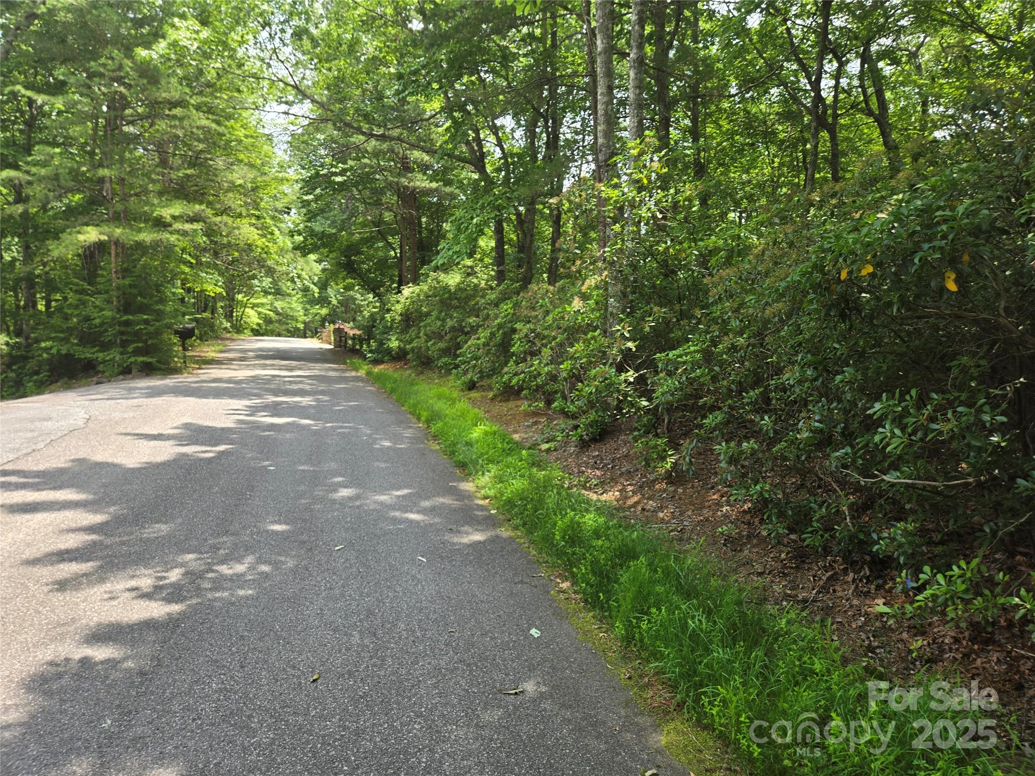 Lot 159 Sullivan Lane Property Photo 8