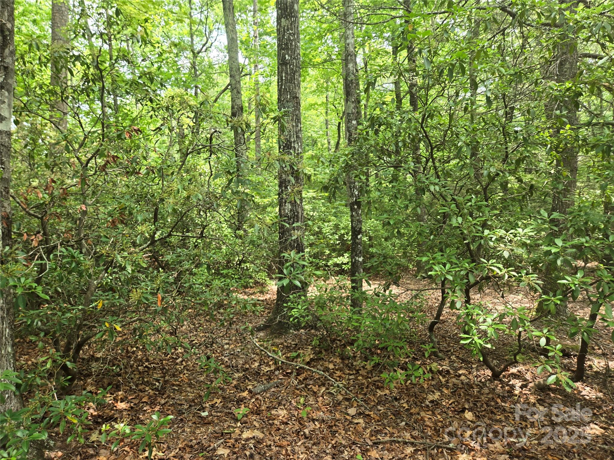 Lot 159 Sullivan Lane Property Photo 9
