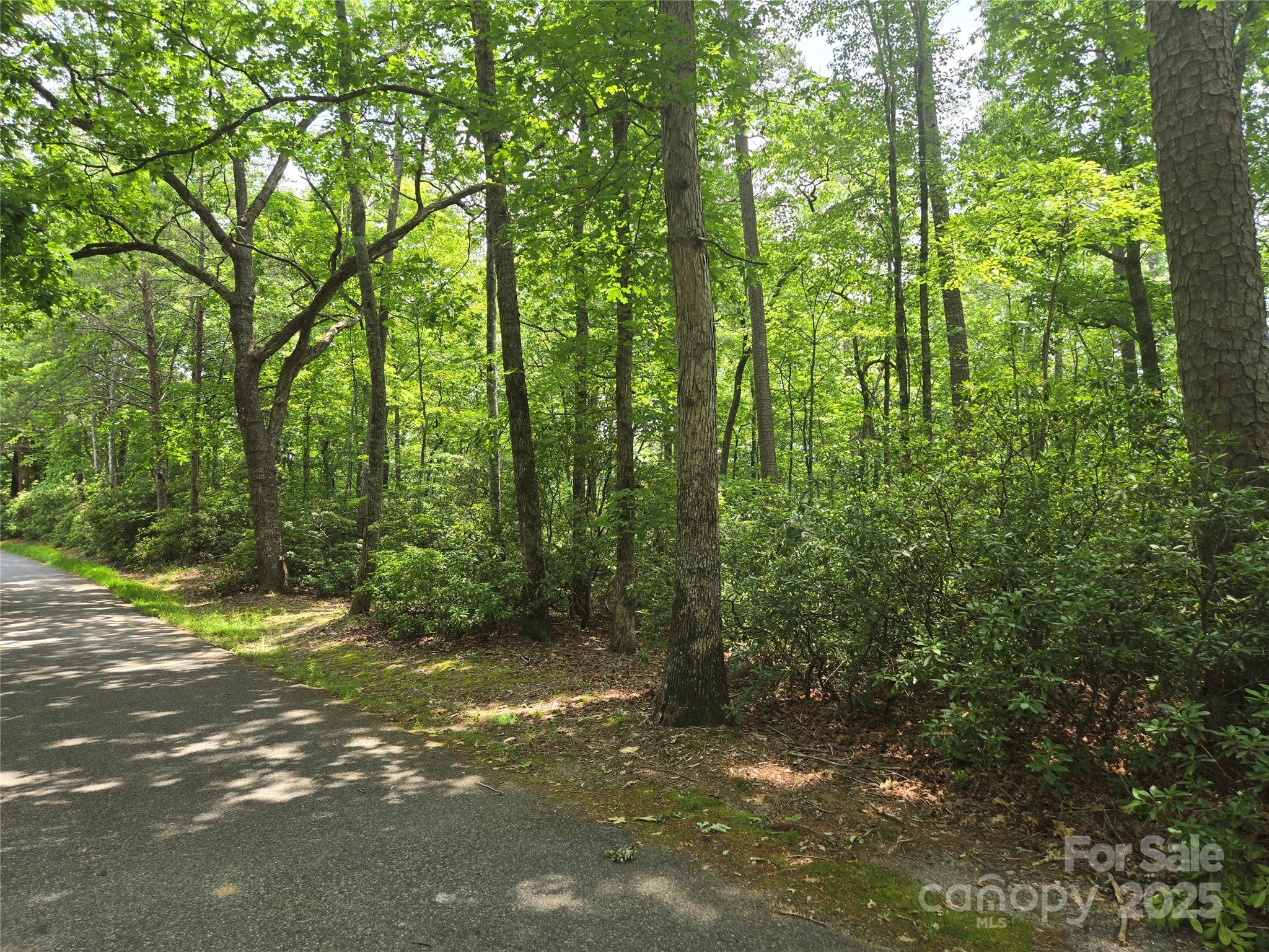 Lot 159 Sullivan Lane Property Photo 11