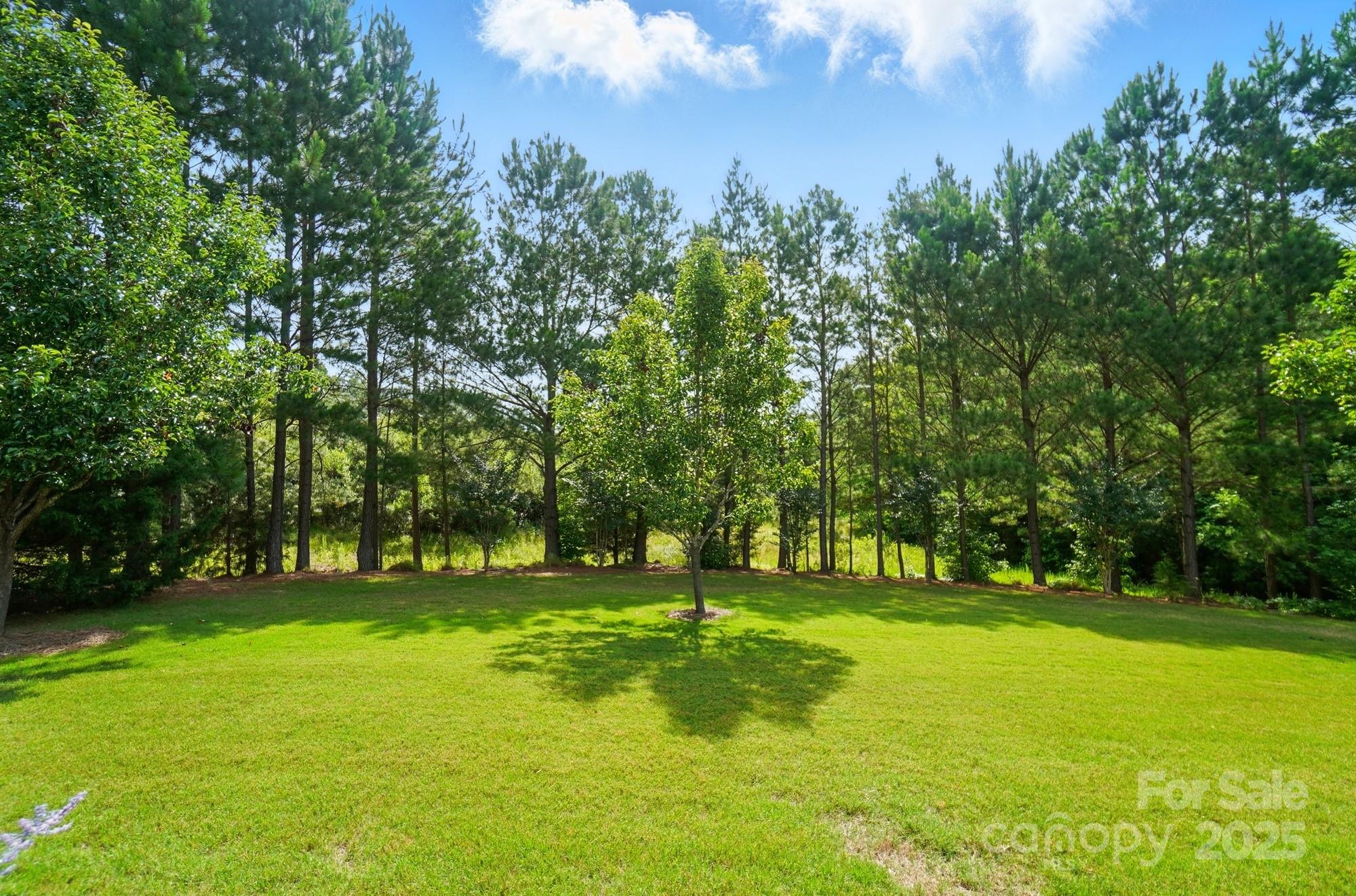 15116 Legend Oaks Court Property Photo 24