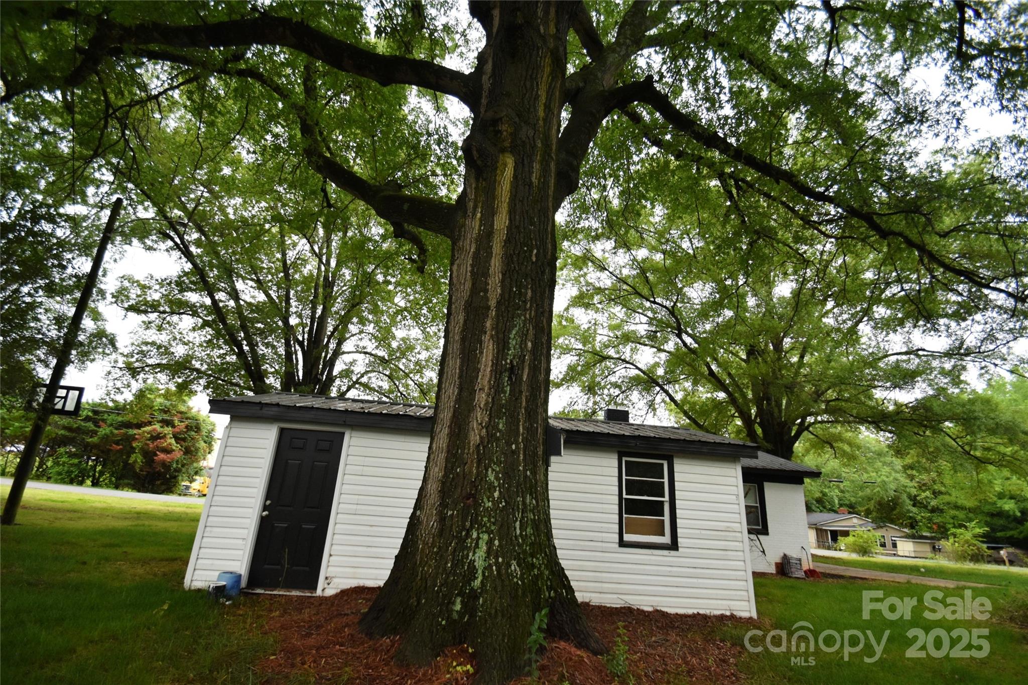 706 Mcintyre Street Property Photo 6