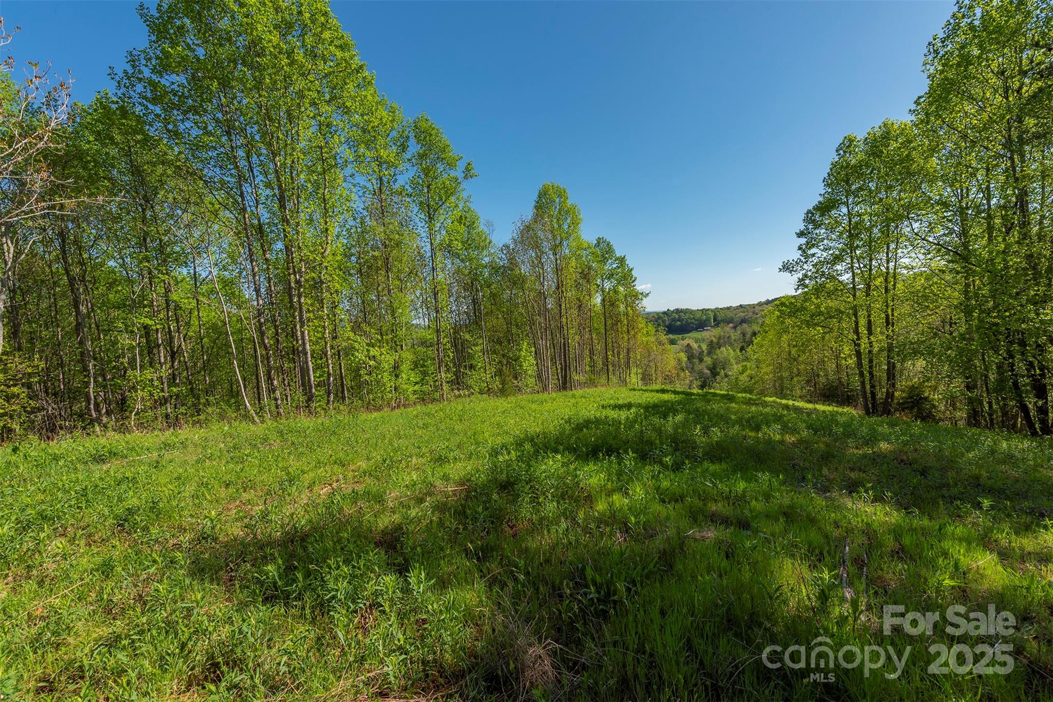 000 Thousand Oaks Drive Property Photo 3