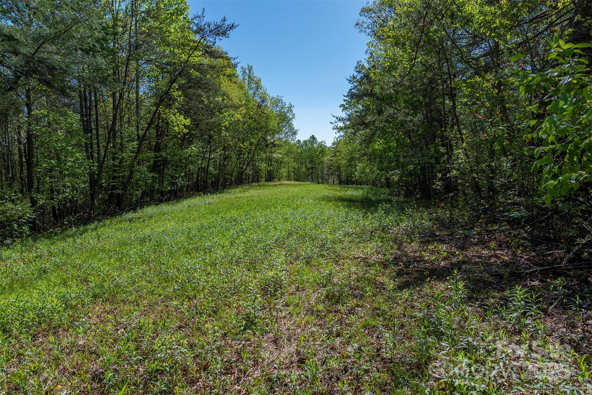 000 Thousand Oaks Drive Property Photo 5