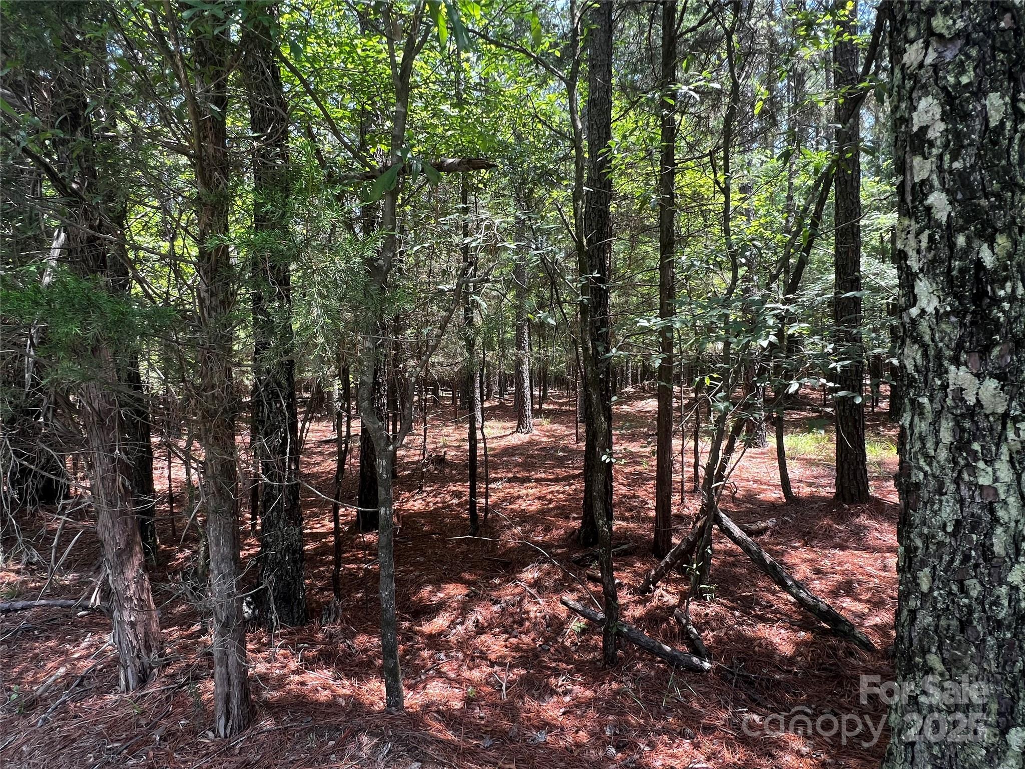 Lot A Sandlapper Drive A Property Photo 4