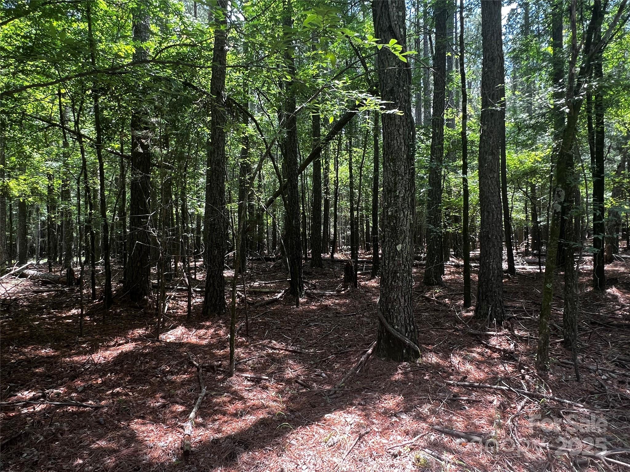 Lot A Sandlapper Drive A Property Photo 5