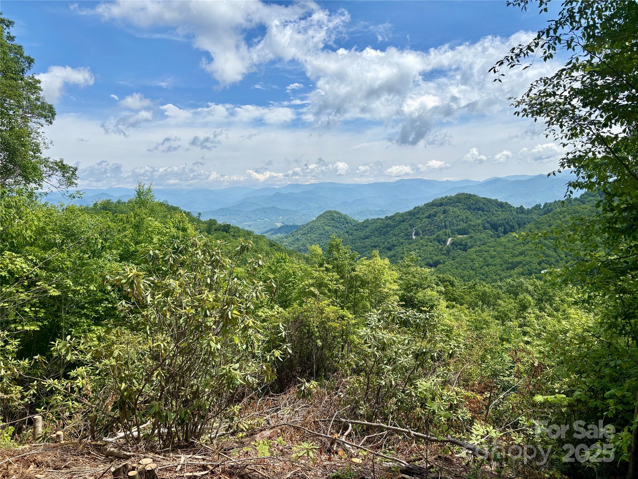 0 Middle Ridge 42 Property Photo 4