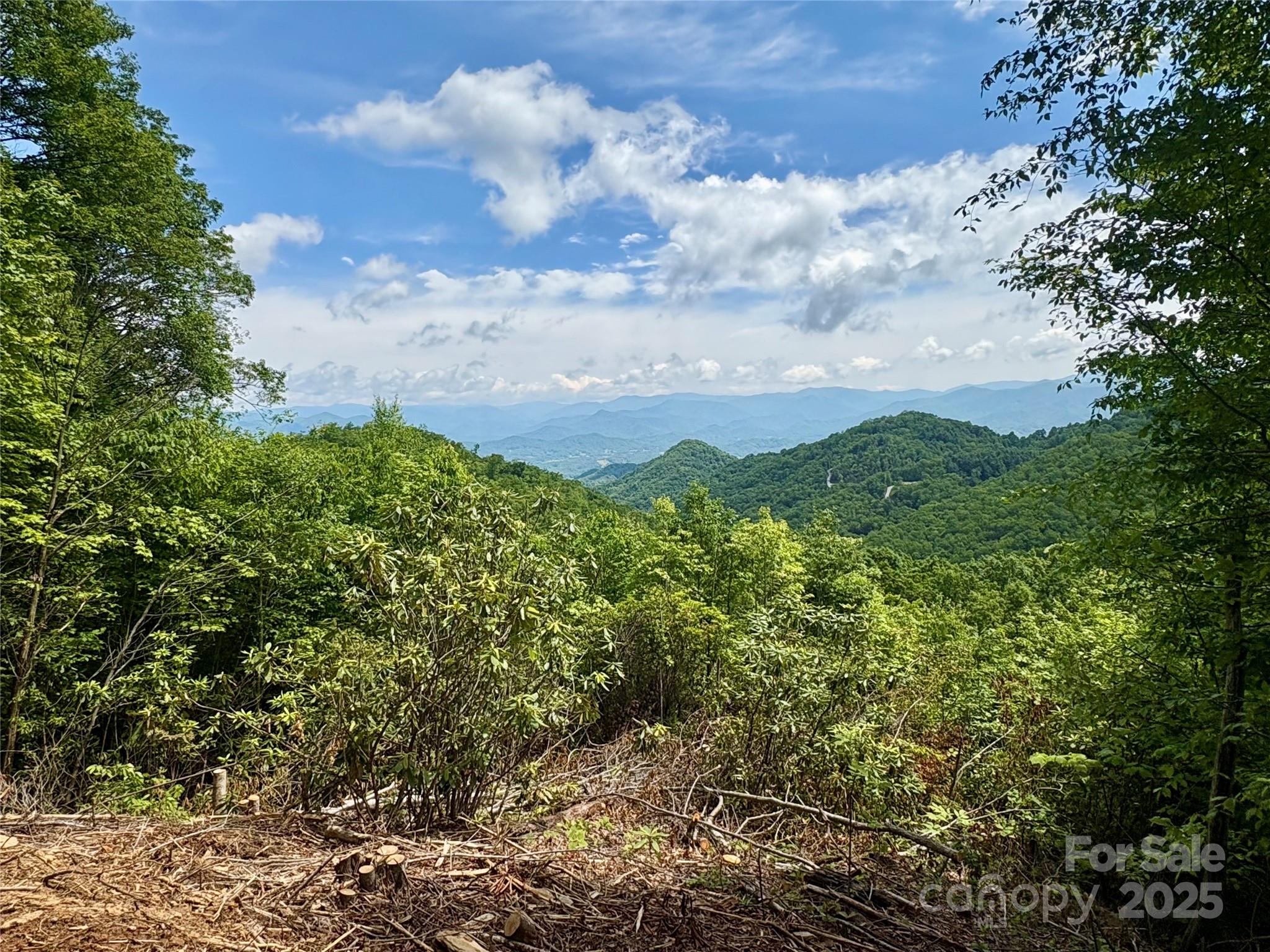 0 Middle Ridge 42 Property Photo 5