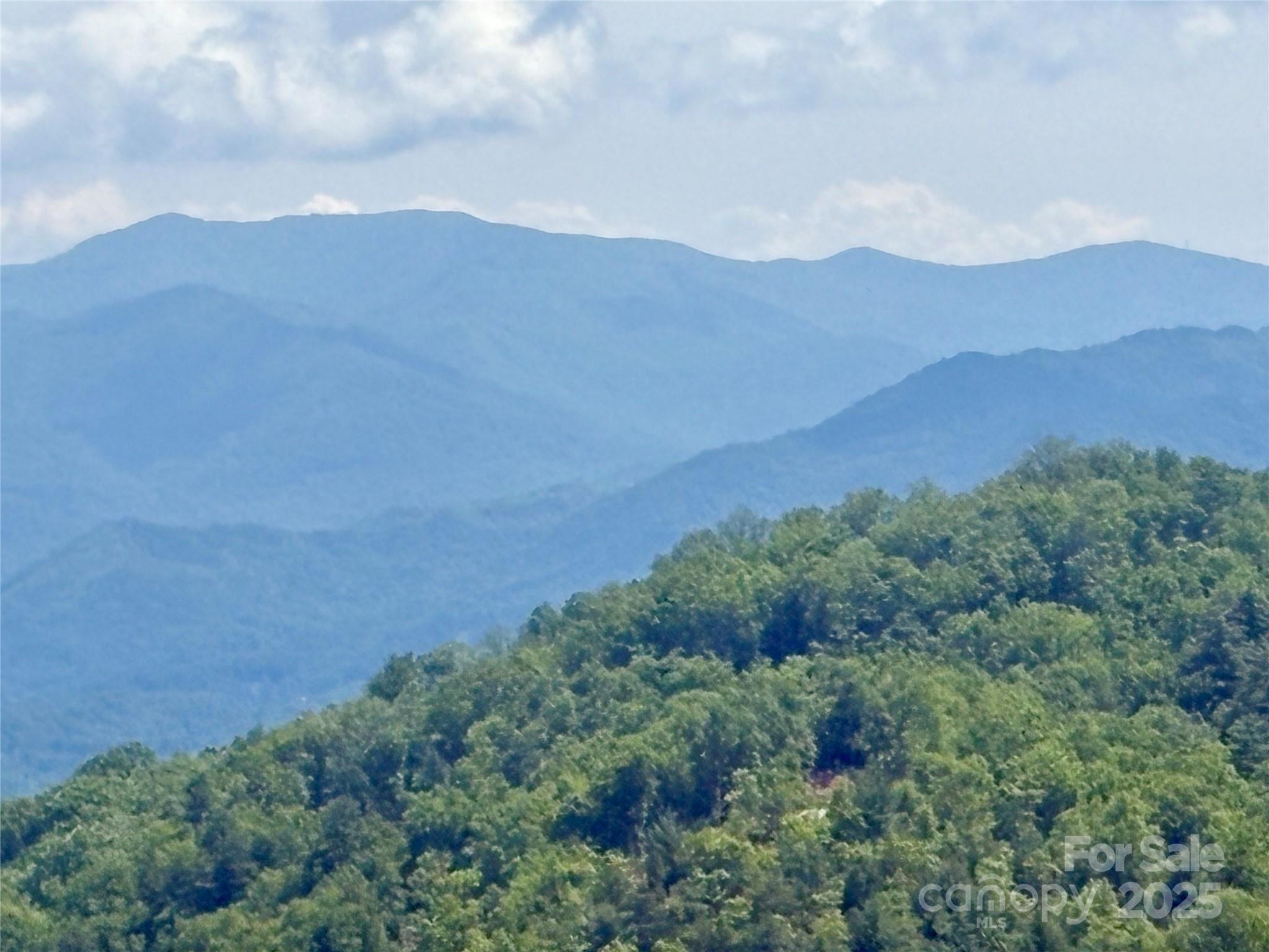 0 Middle Ridge 42 Property Photo 9