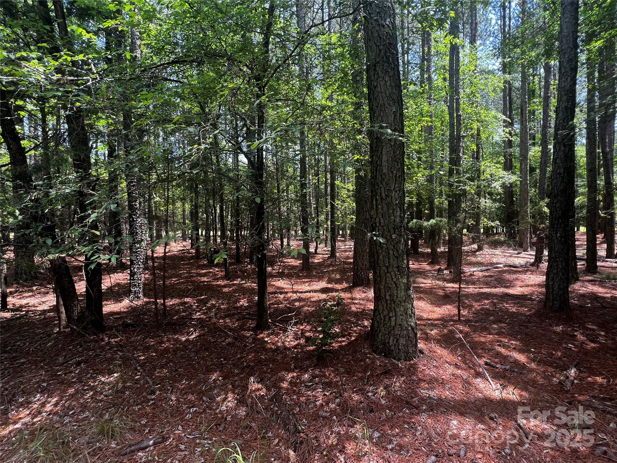 Lot B Sandlapper Drive B Property Photo 2