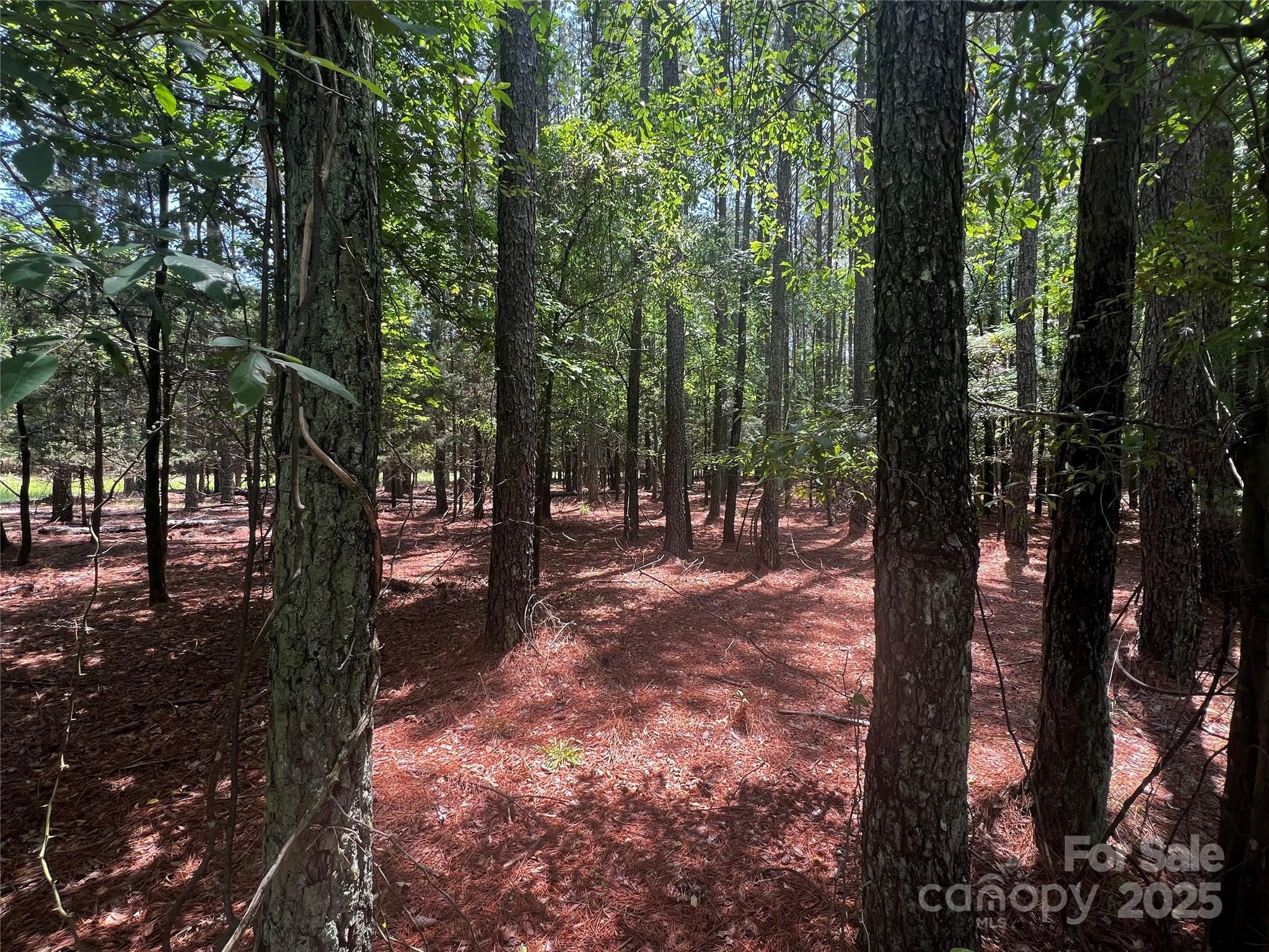 Lot B Sandlapper Drive B Property Photo 3