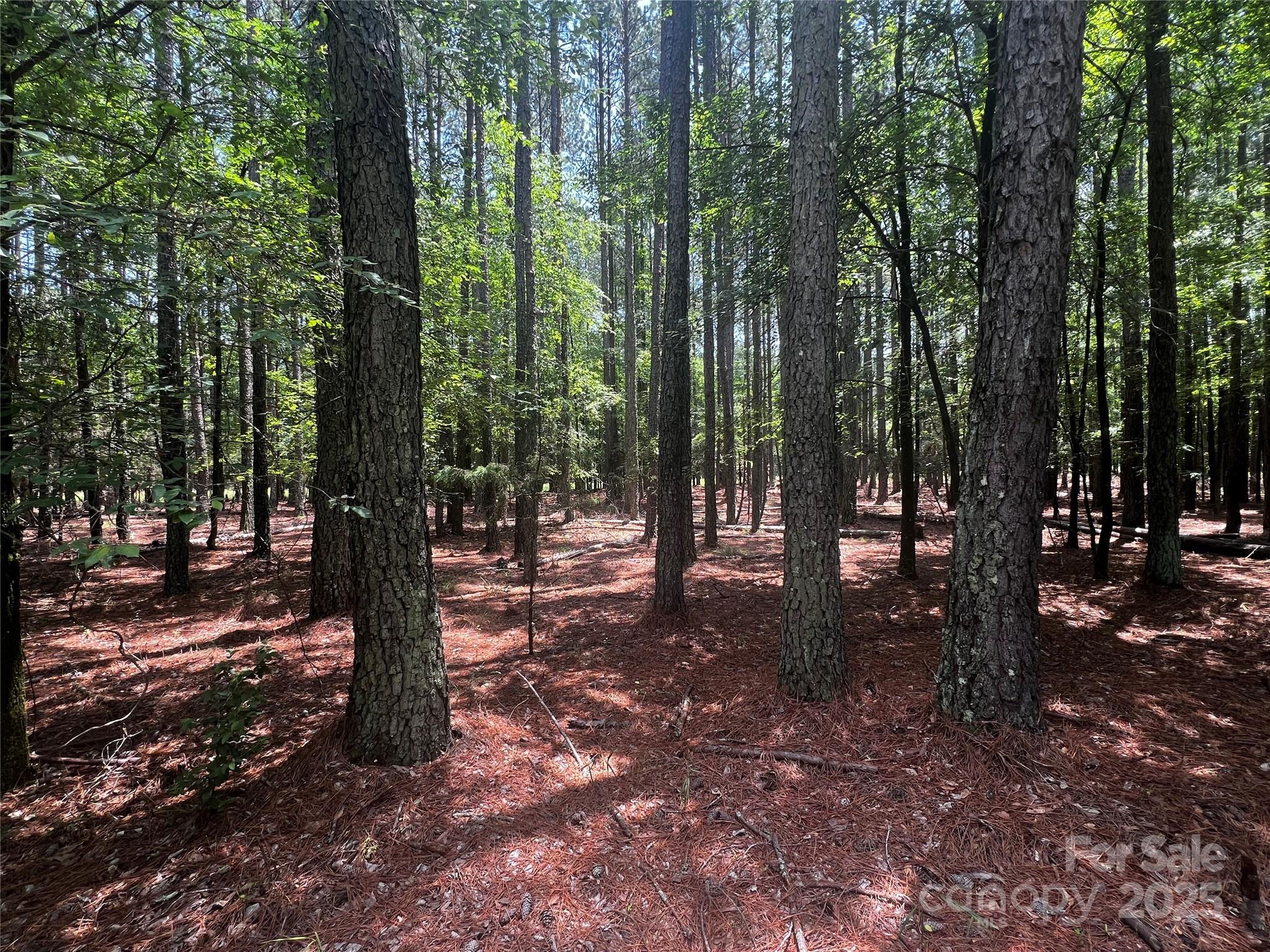 Lot B Sandlapper Drive B Property Photo 4