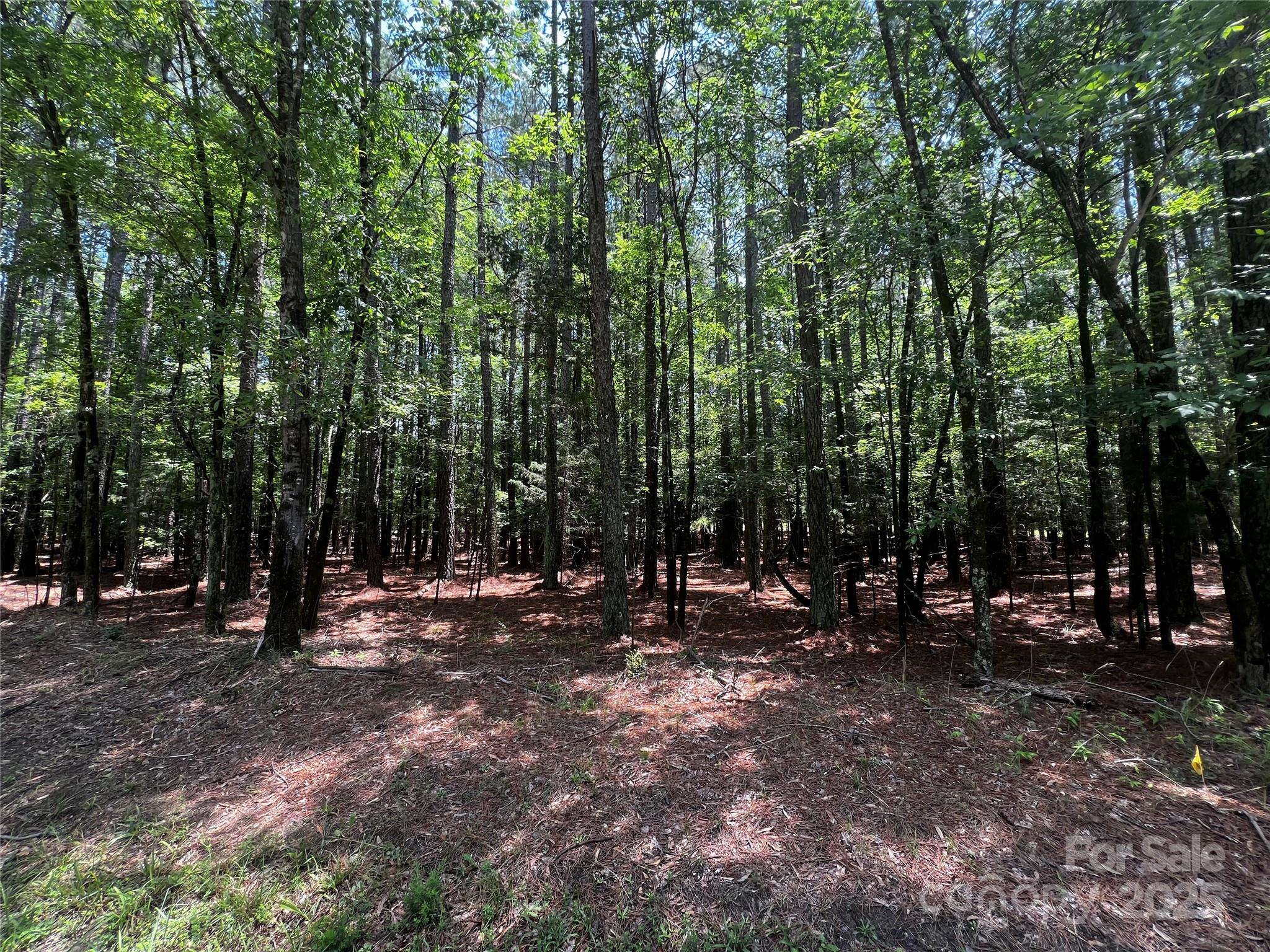 Lot B Sandlapper Drive B Property Photo 7