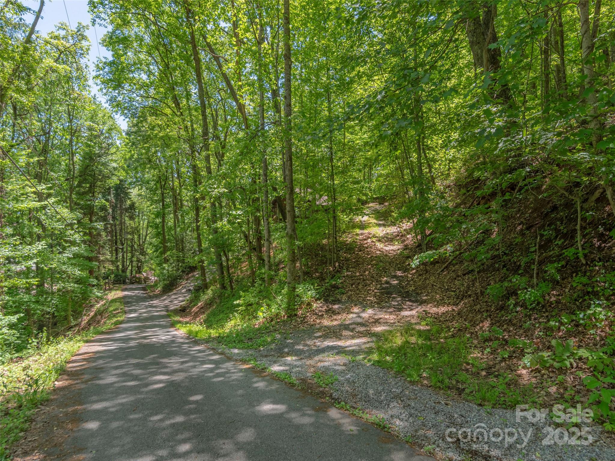 00 Skyline Drive Property Photo 3