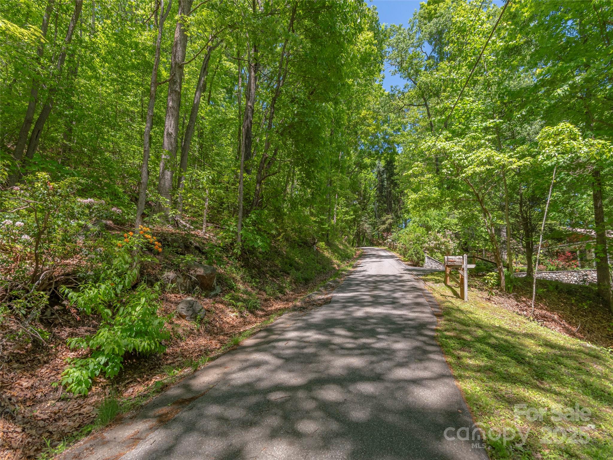 00 Skyline Drive Property Photo 5
