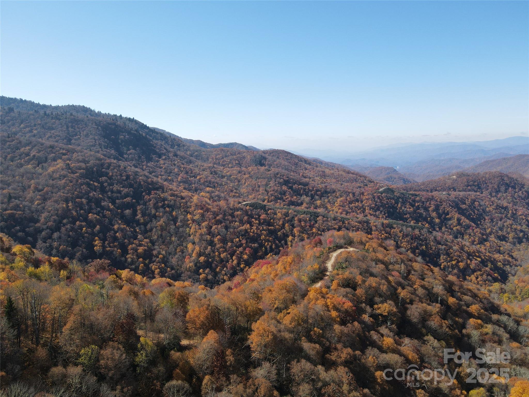 3837 & 3689 Plott Balsam Road Property Photo 6