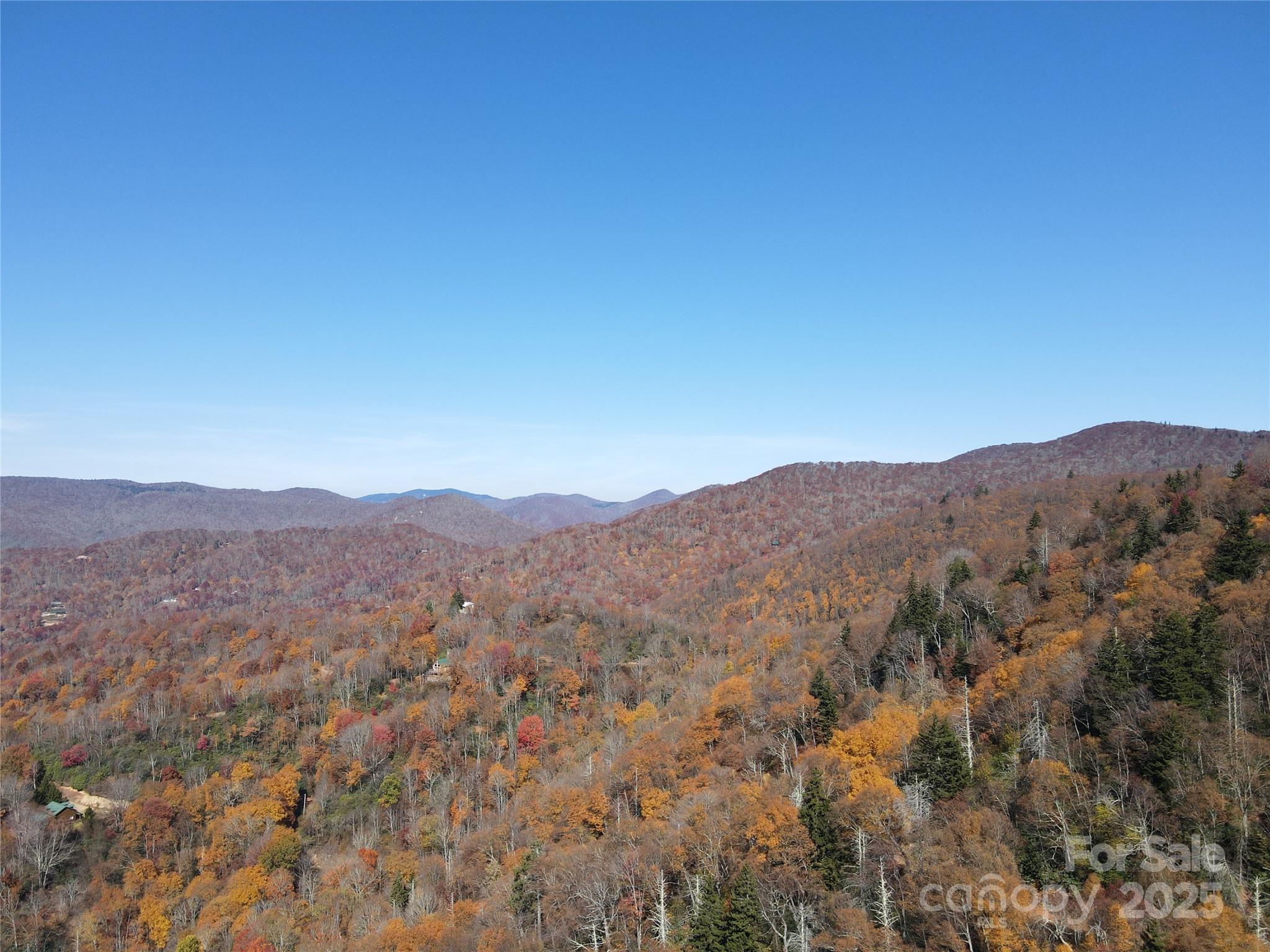 3837 & 3689 Plott Balsam Road Property Photo 9