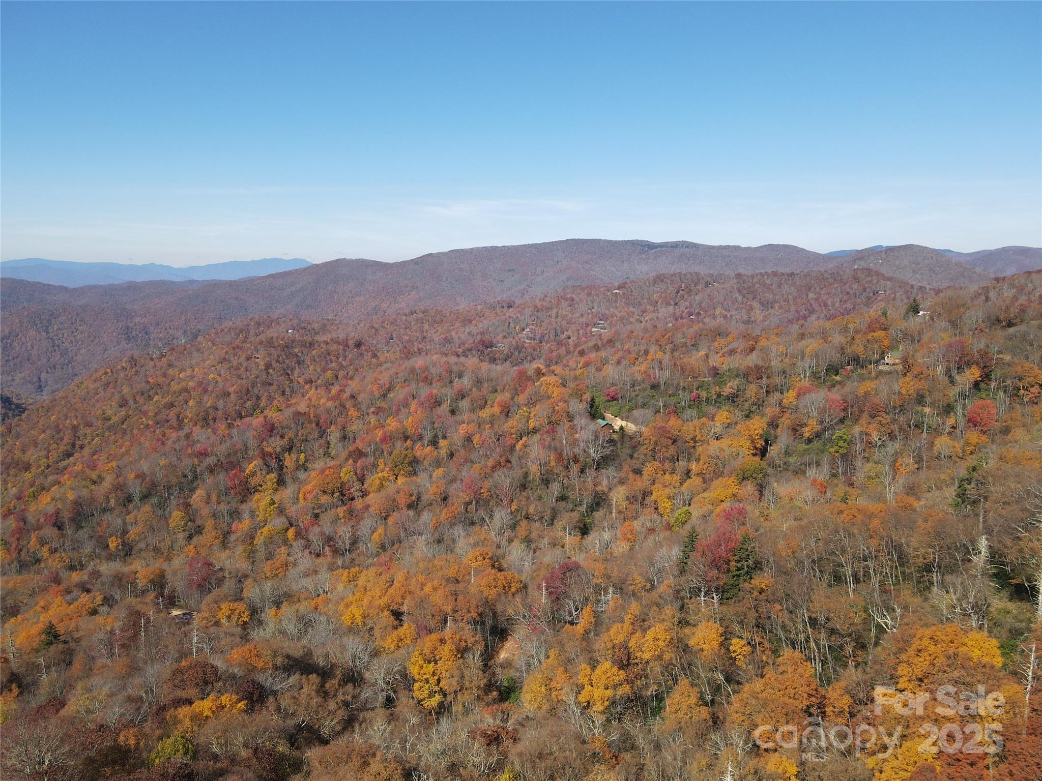 3837 & 3689 Plott Balsam Road Property Photo 11