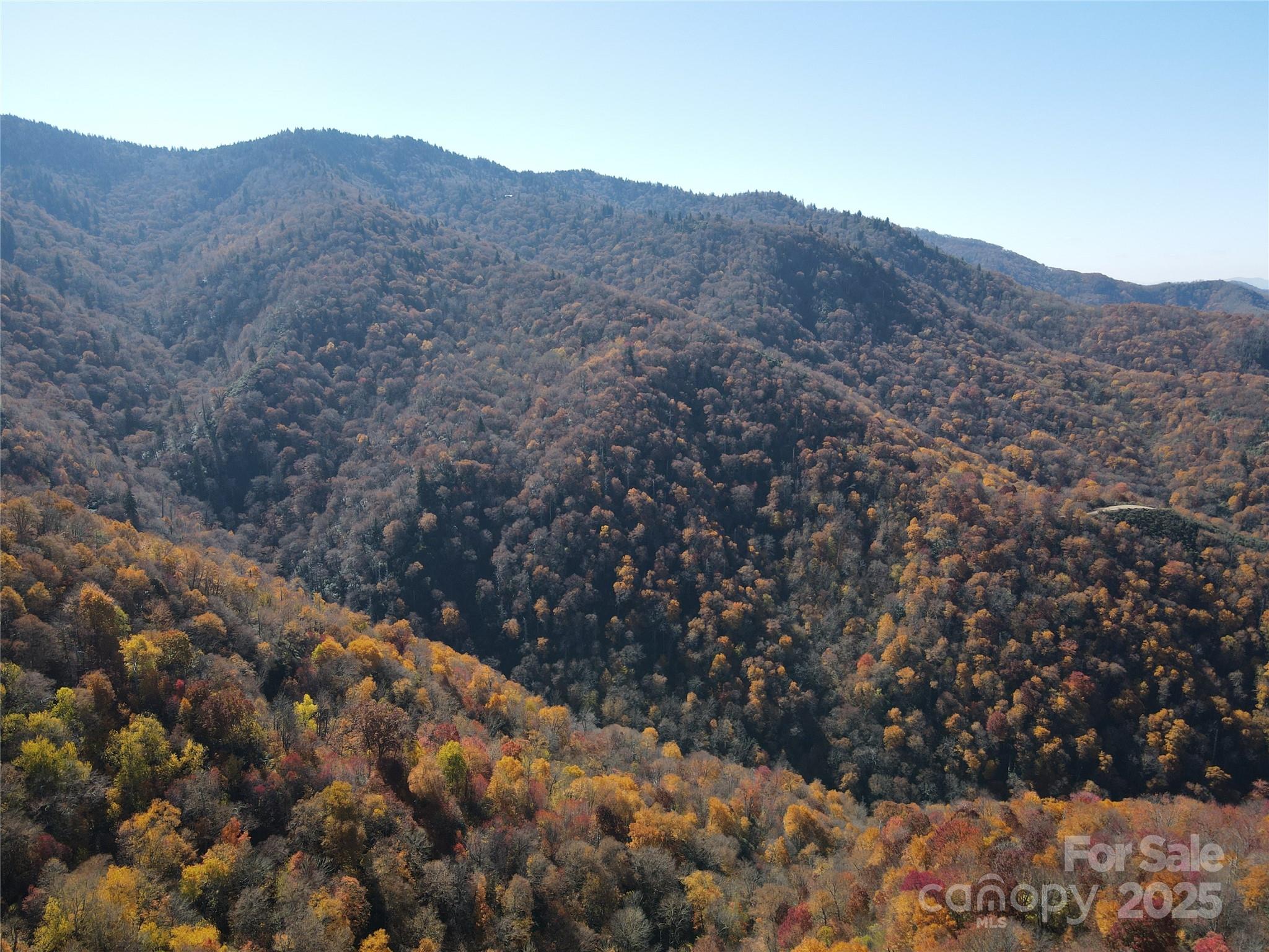 3837 & 3689 Plott Balsam Road Property Photo 13