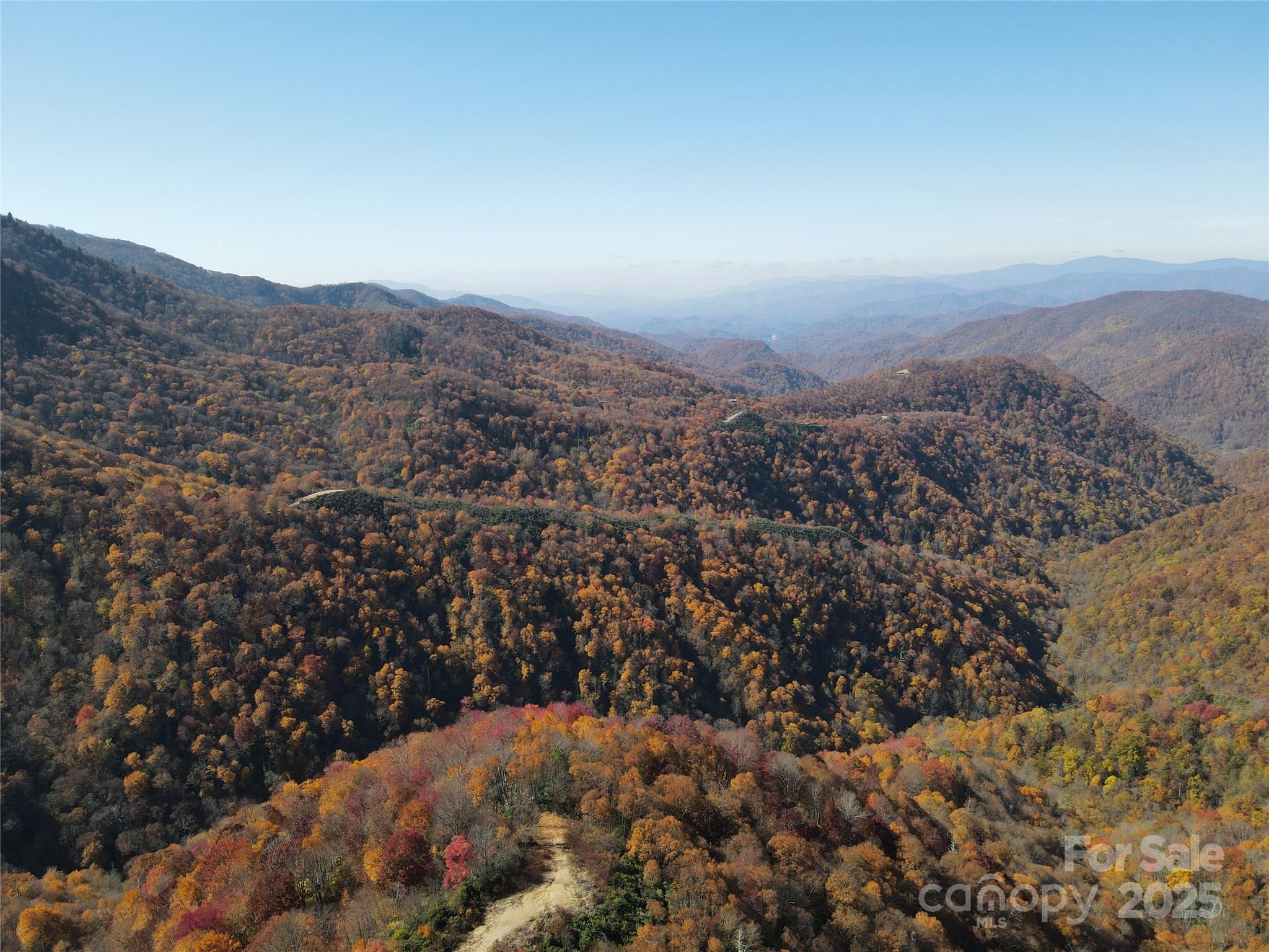 3837 & 3689 Plott Balsam Road Property Photo 14