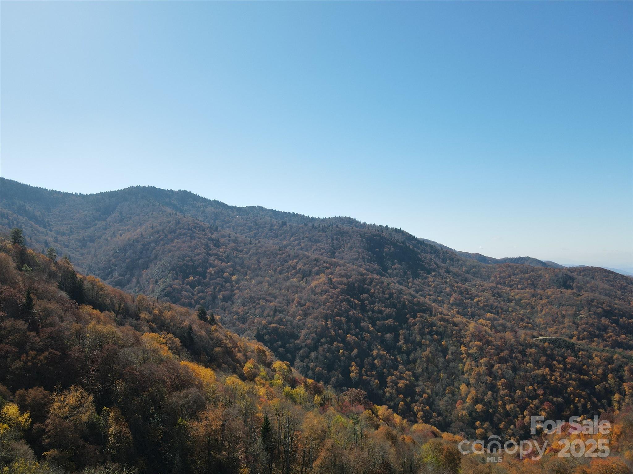 3837 & 3689 Plott Balsam Road Property Photo 15