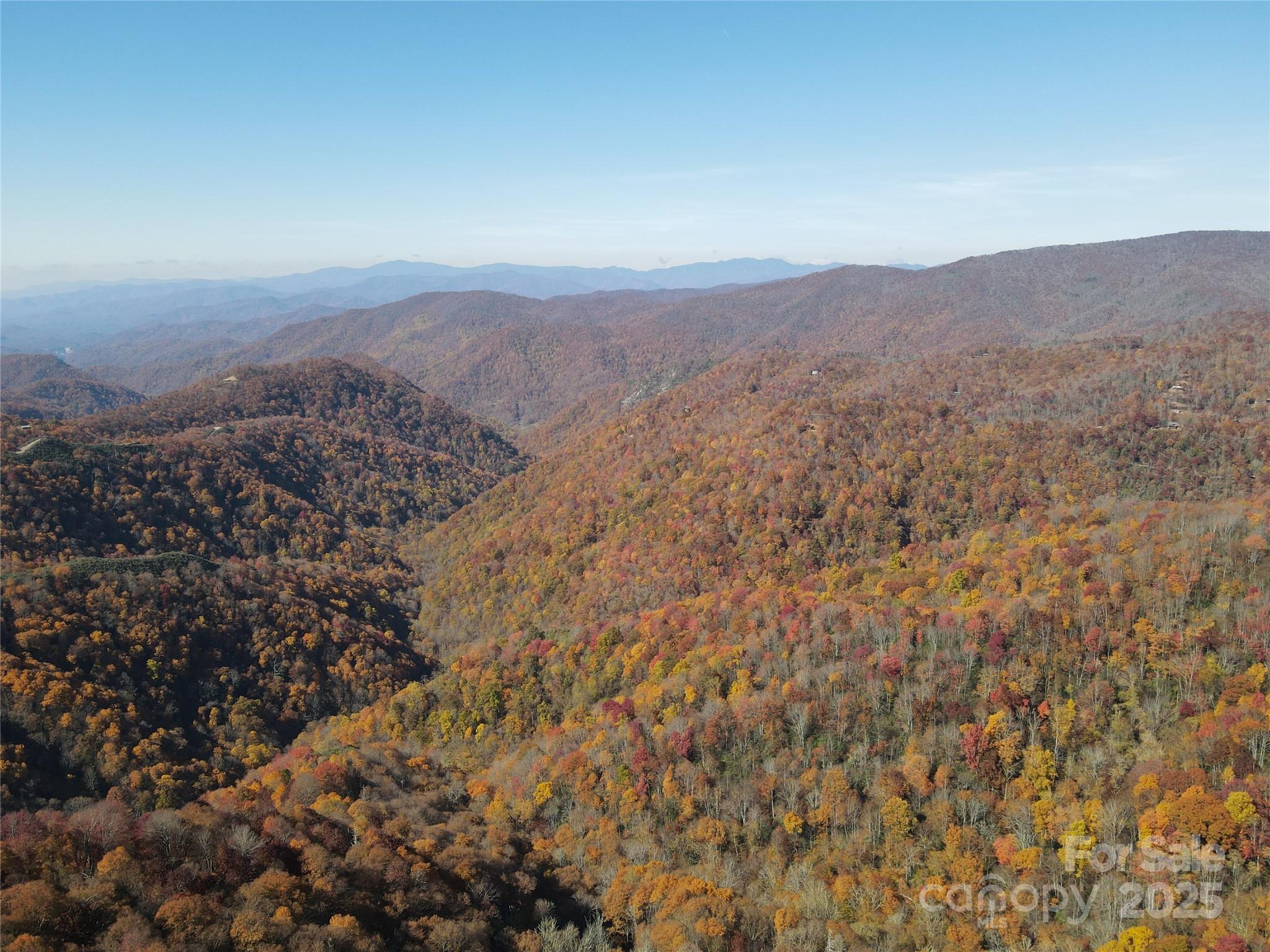 3837 & 3689 Plott Balsam Road Property Photo 16