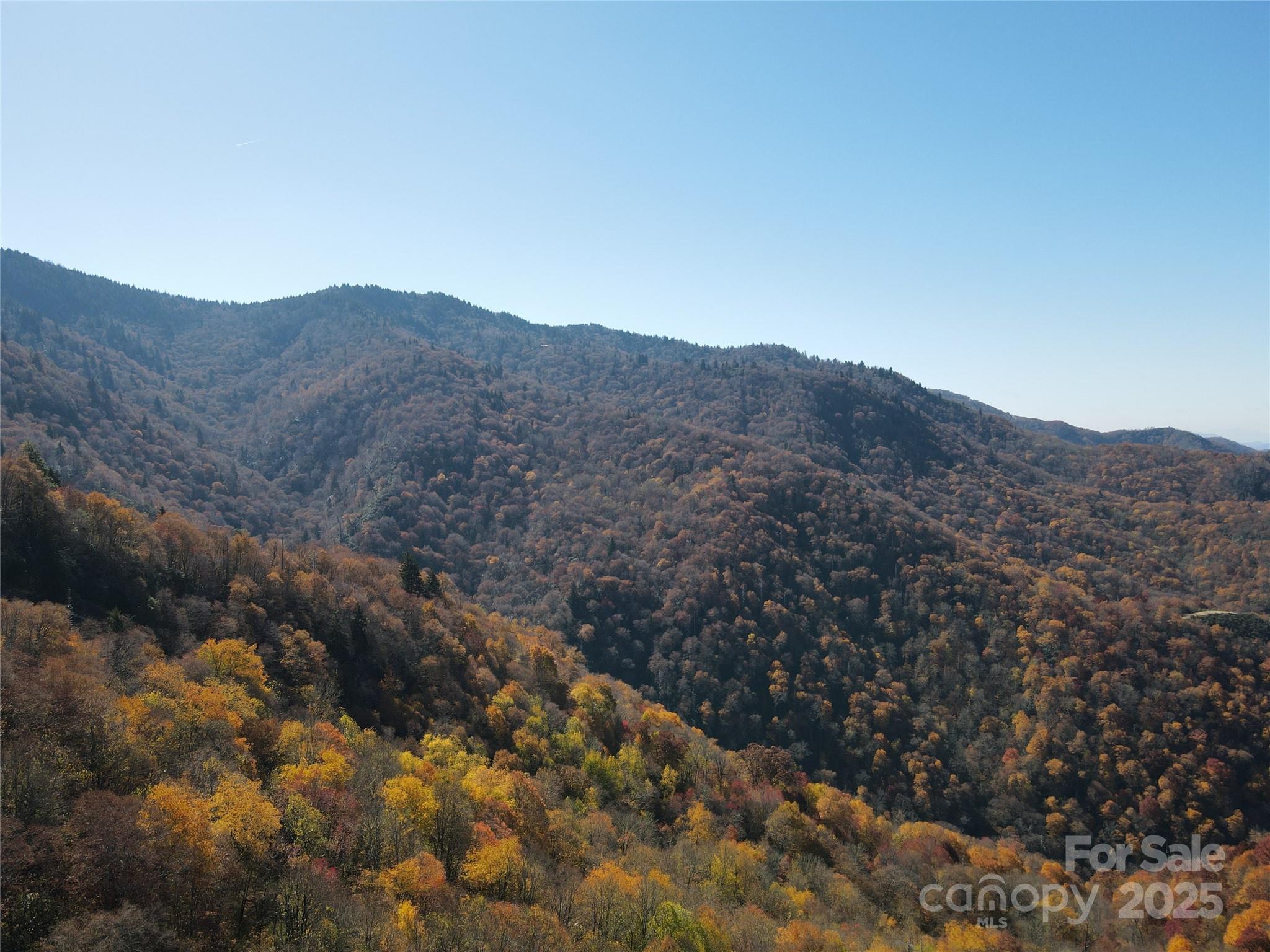 3837 & 3689 Plott Balsam Road Property Photo 17