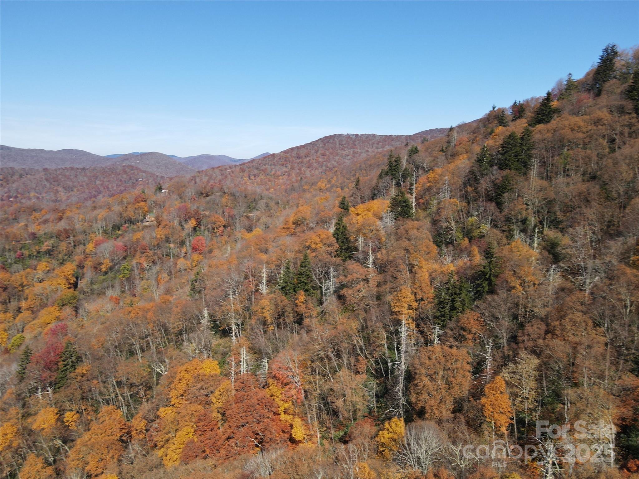 3837 & 3689 Plott Balsam Road Property Photo 18