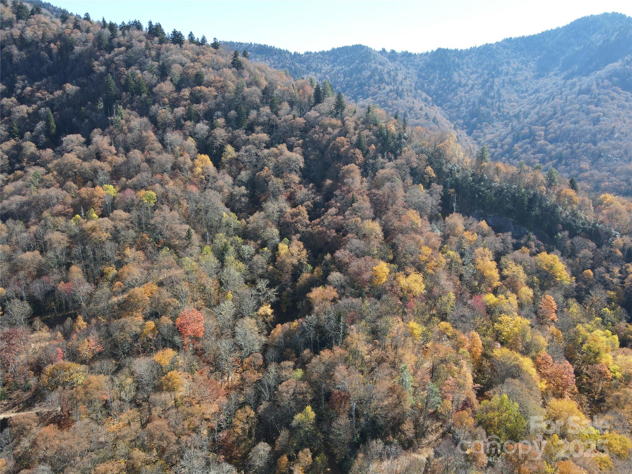 3837 & 3689 Plott Balsam Road Property Photo 19