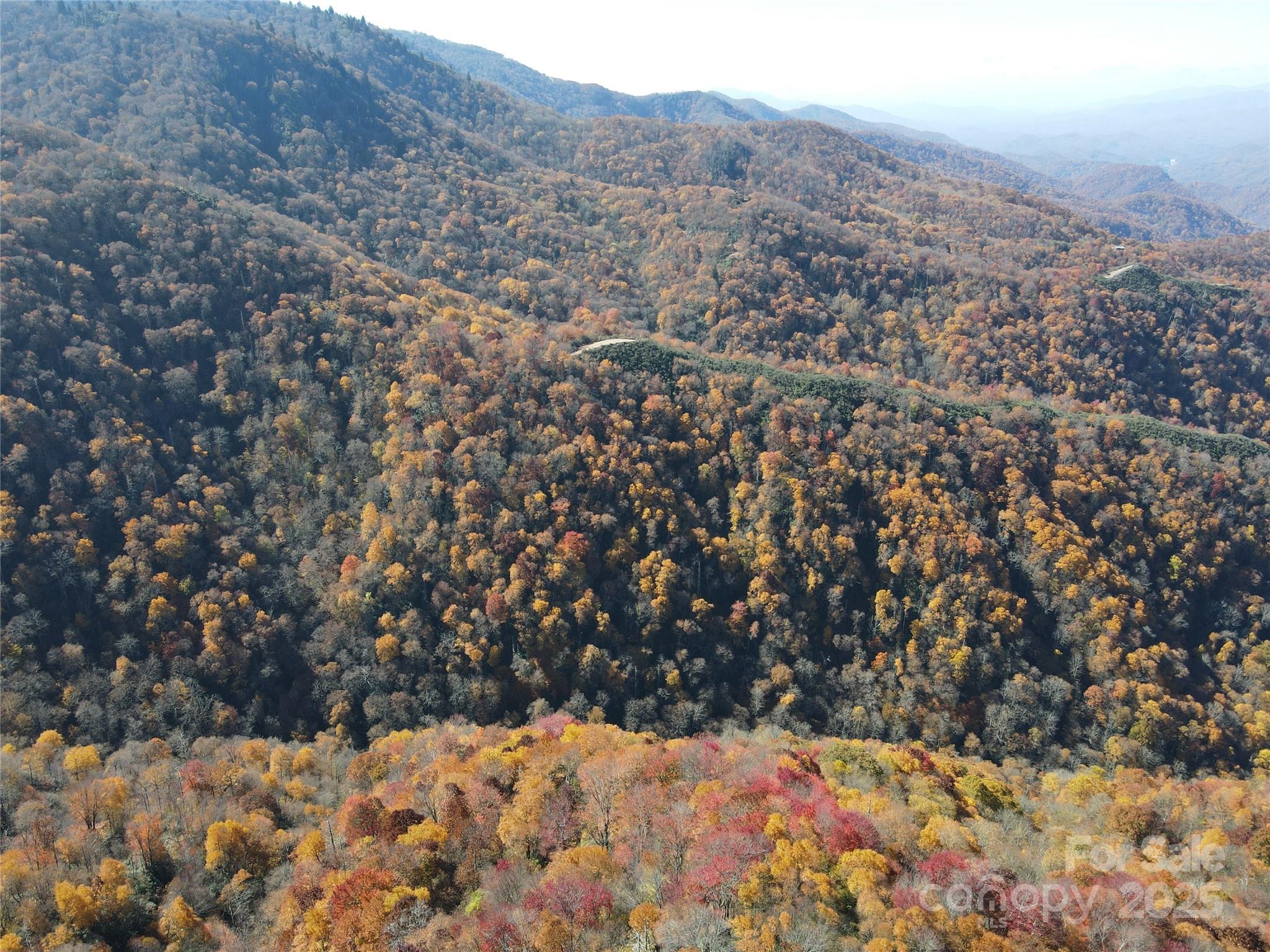 3837 & 3689 Plott Balsam Road Property Photo 20