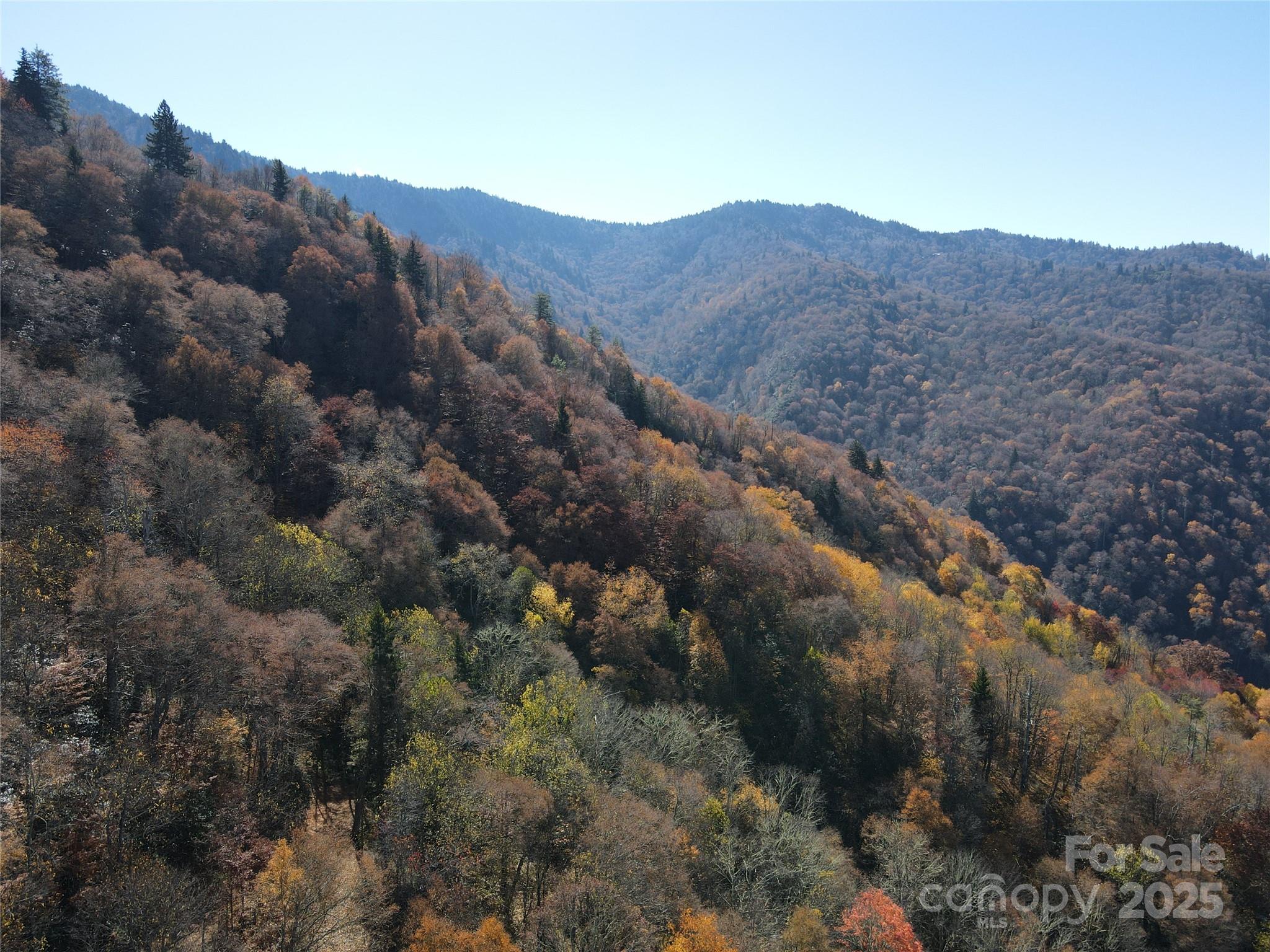 3837 & 3689 Plott Balsam Road Property Photo 21