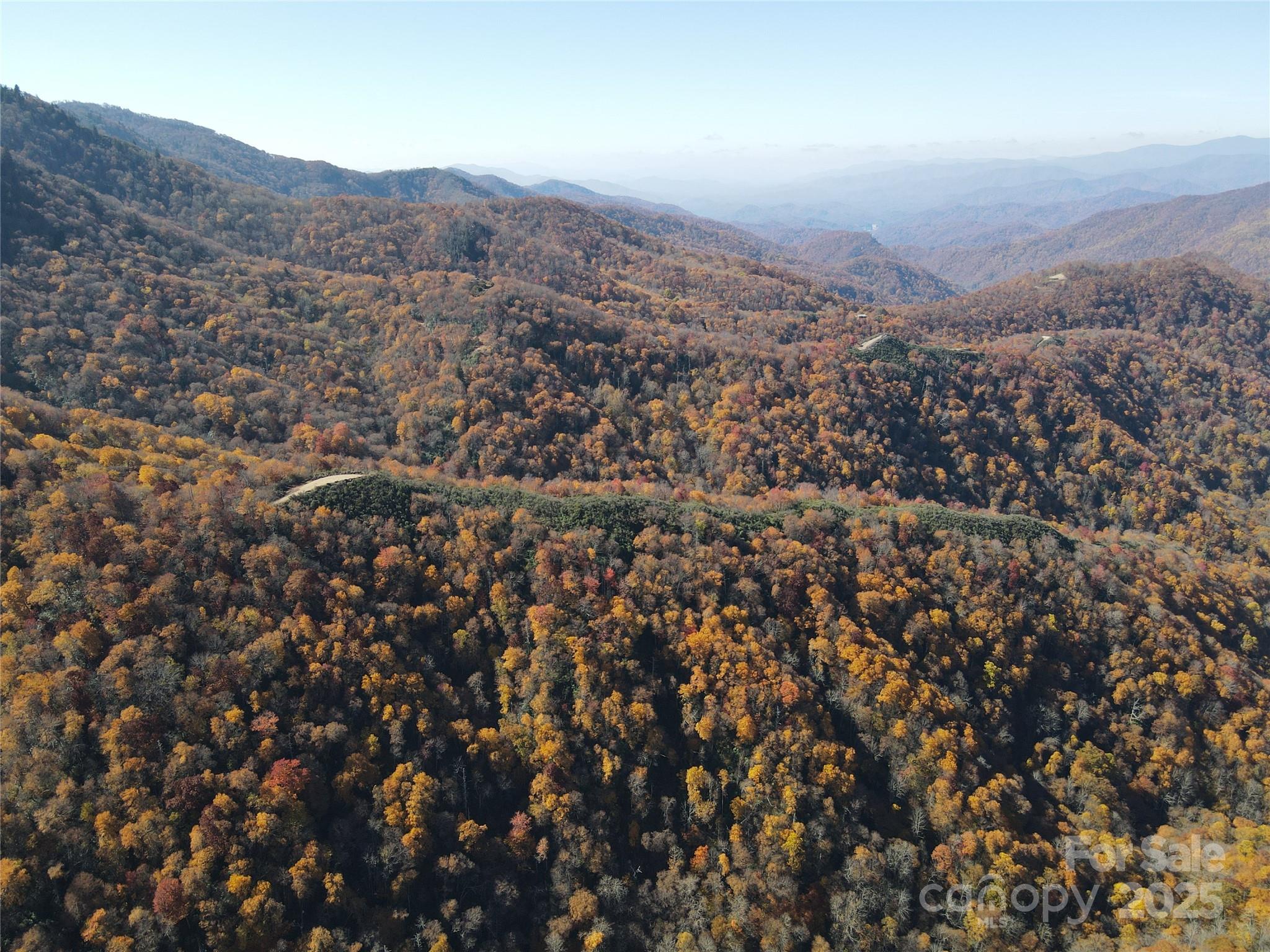 3837 & 3689 Plott Balsam Road Property Photo 25
