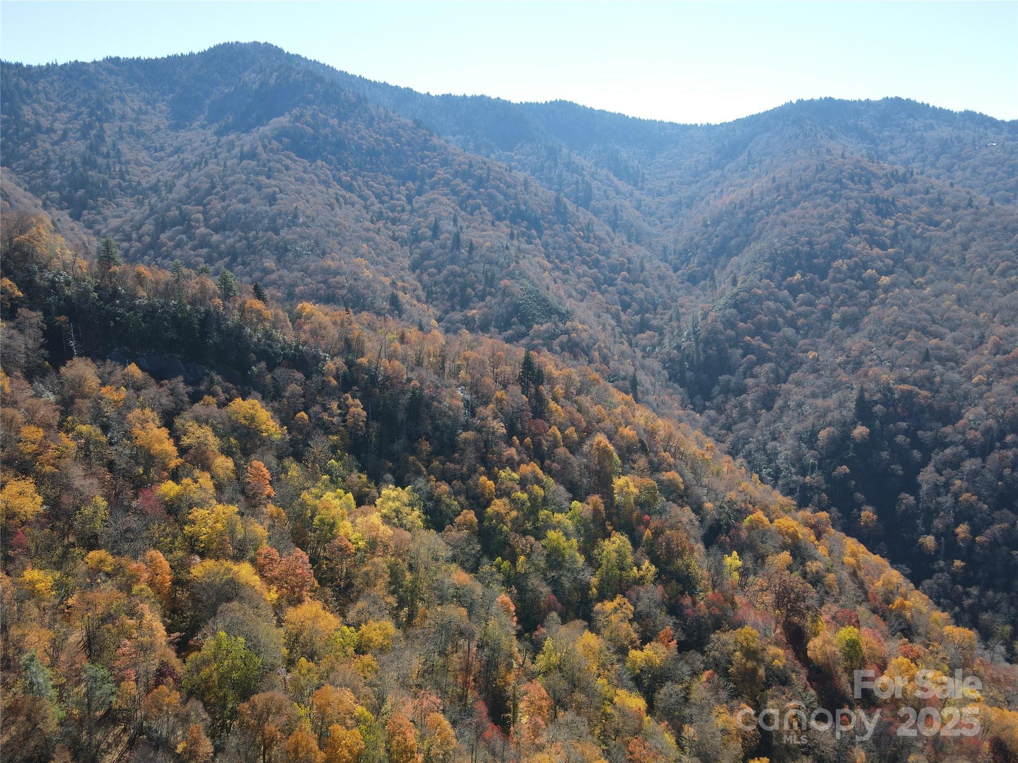 3837 & 3689 Plott Balsam Road Property Photo 27