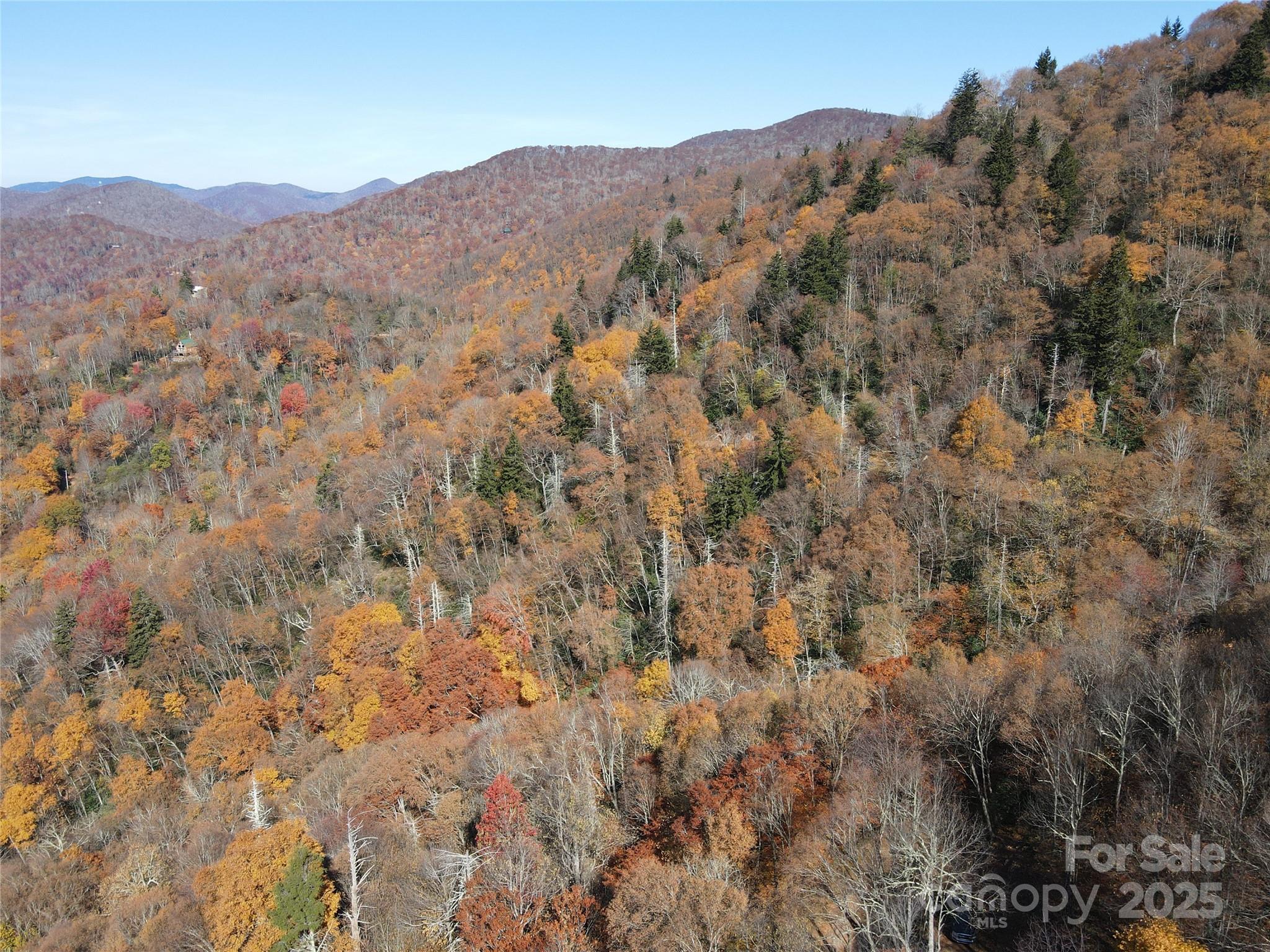 3837 & 3689 Plott Balsam Road Property Photo 32