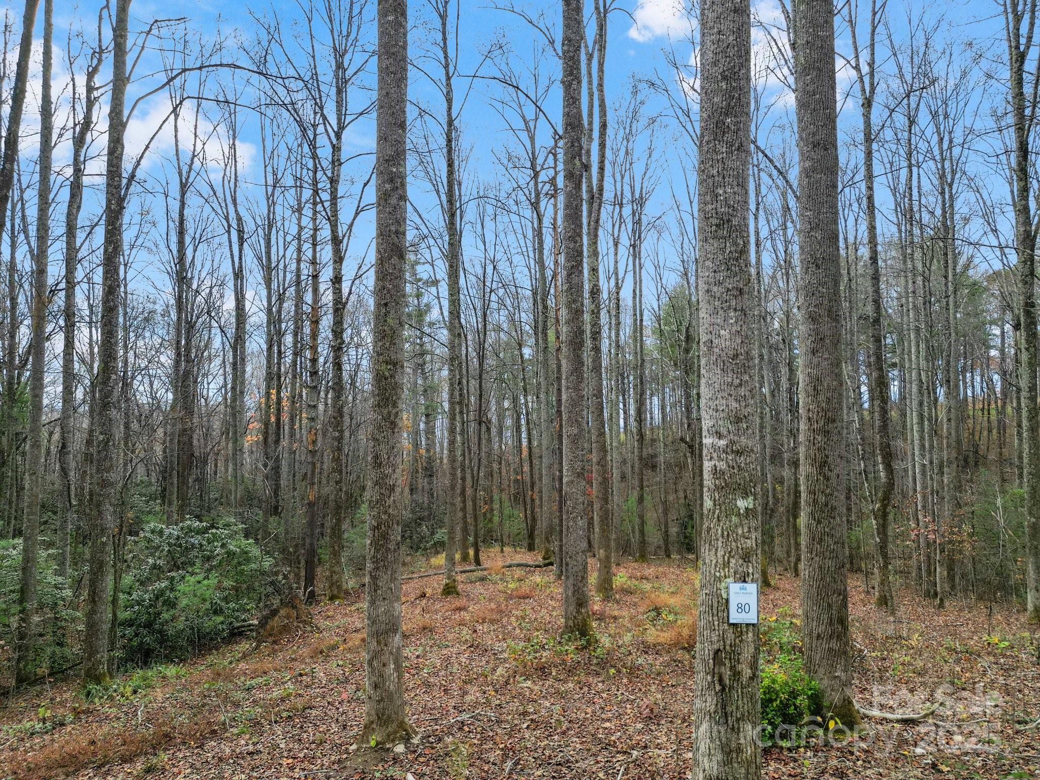 Lot 80 Mountain Grove Lane Lot 80 Property Photo 1
