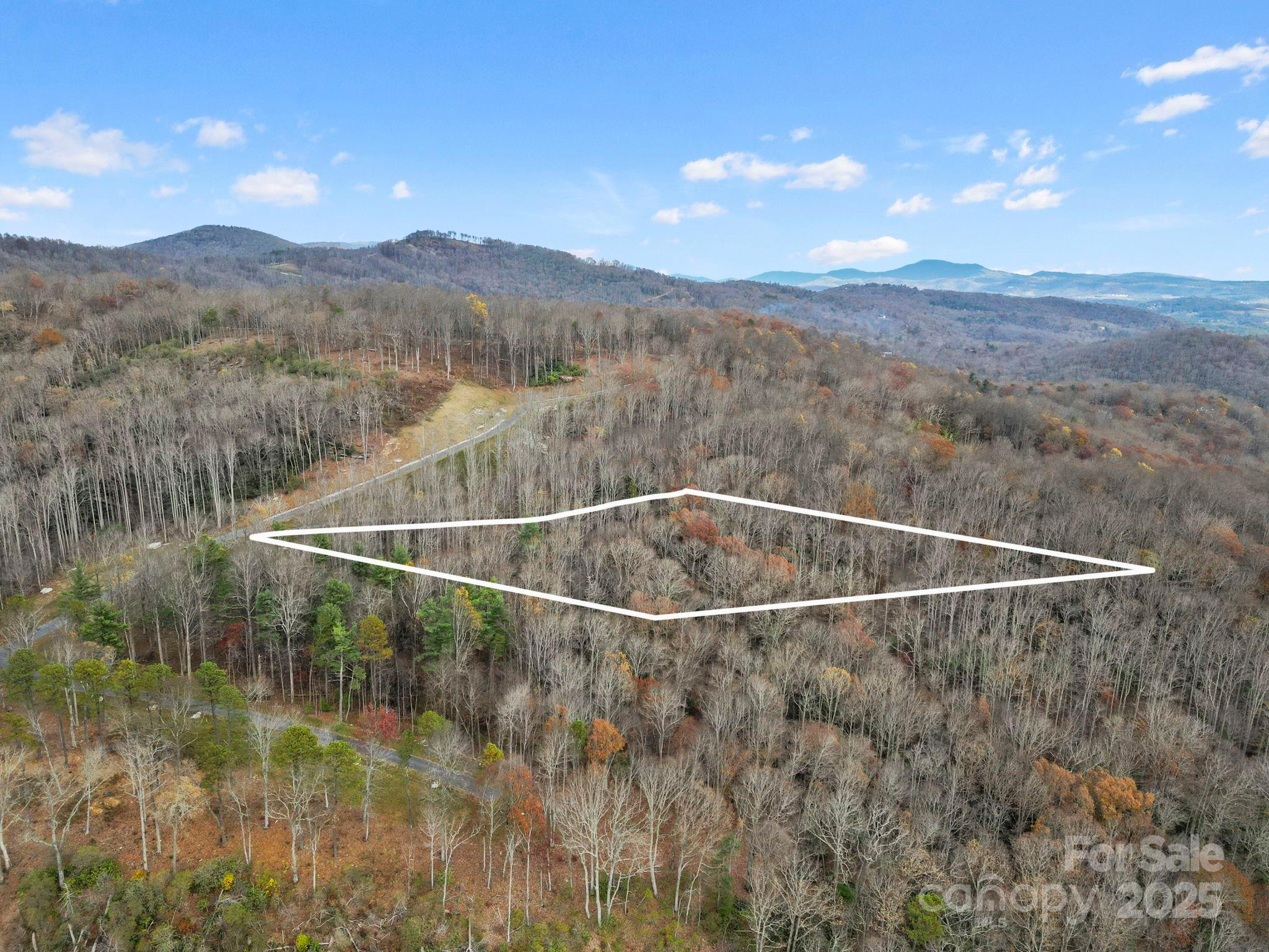 Lot 80 Mountain Grove Lane Lot 80 Property Photo 2