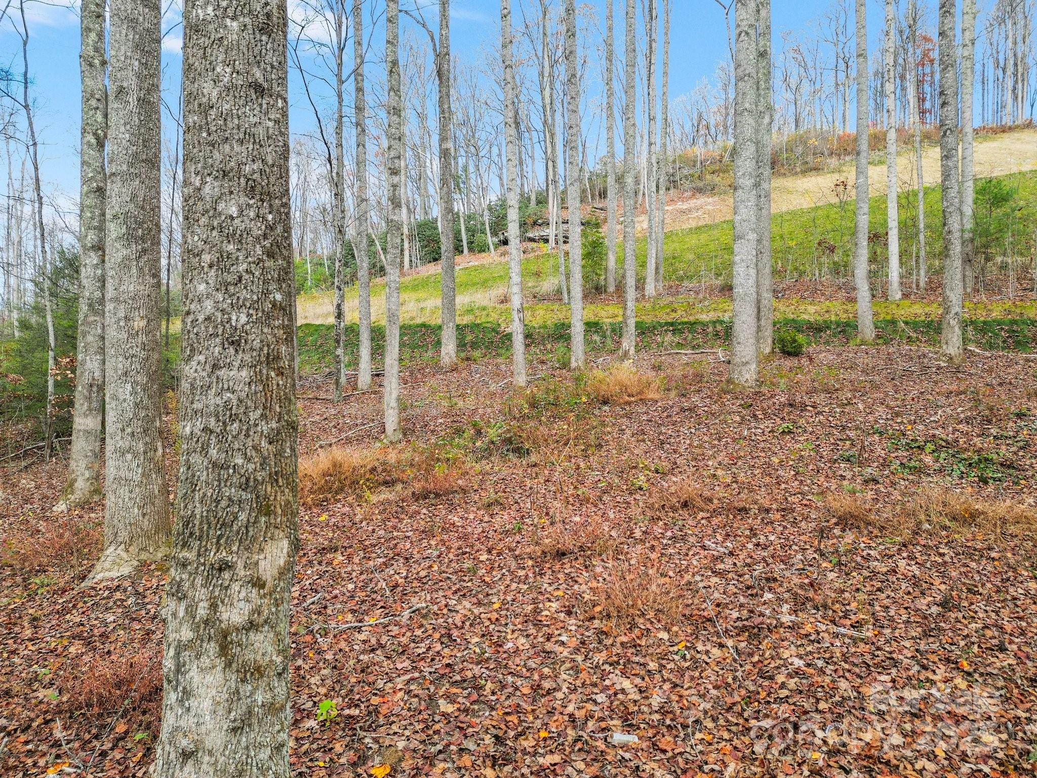 Lot 80 Mountain Grove Lane Lot 80 Property Photo 3