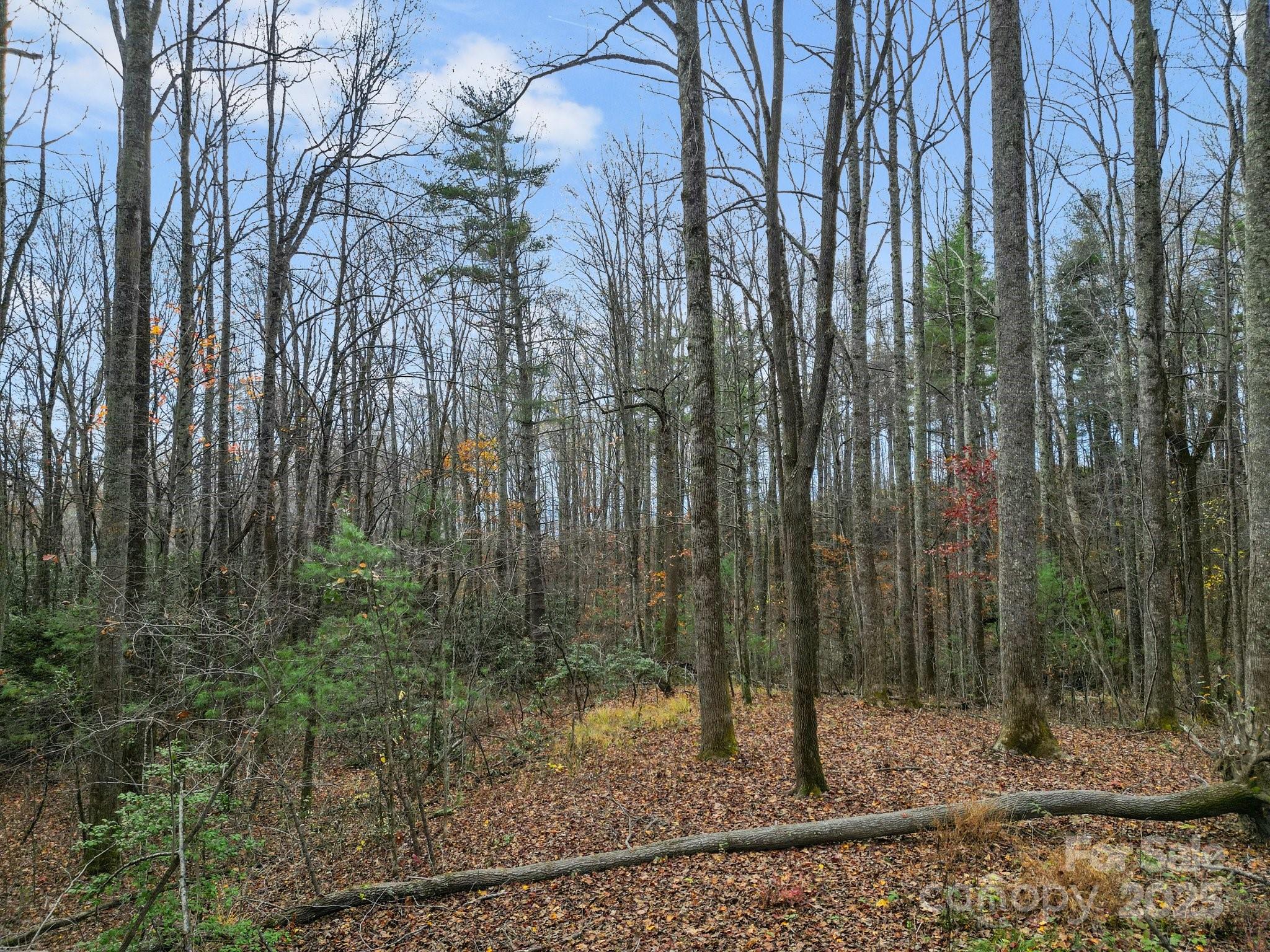 Lot 80 Mountain Grove Lane Lot 80 Property Photo 4